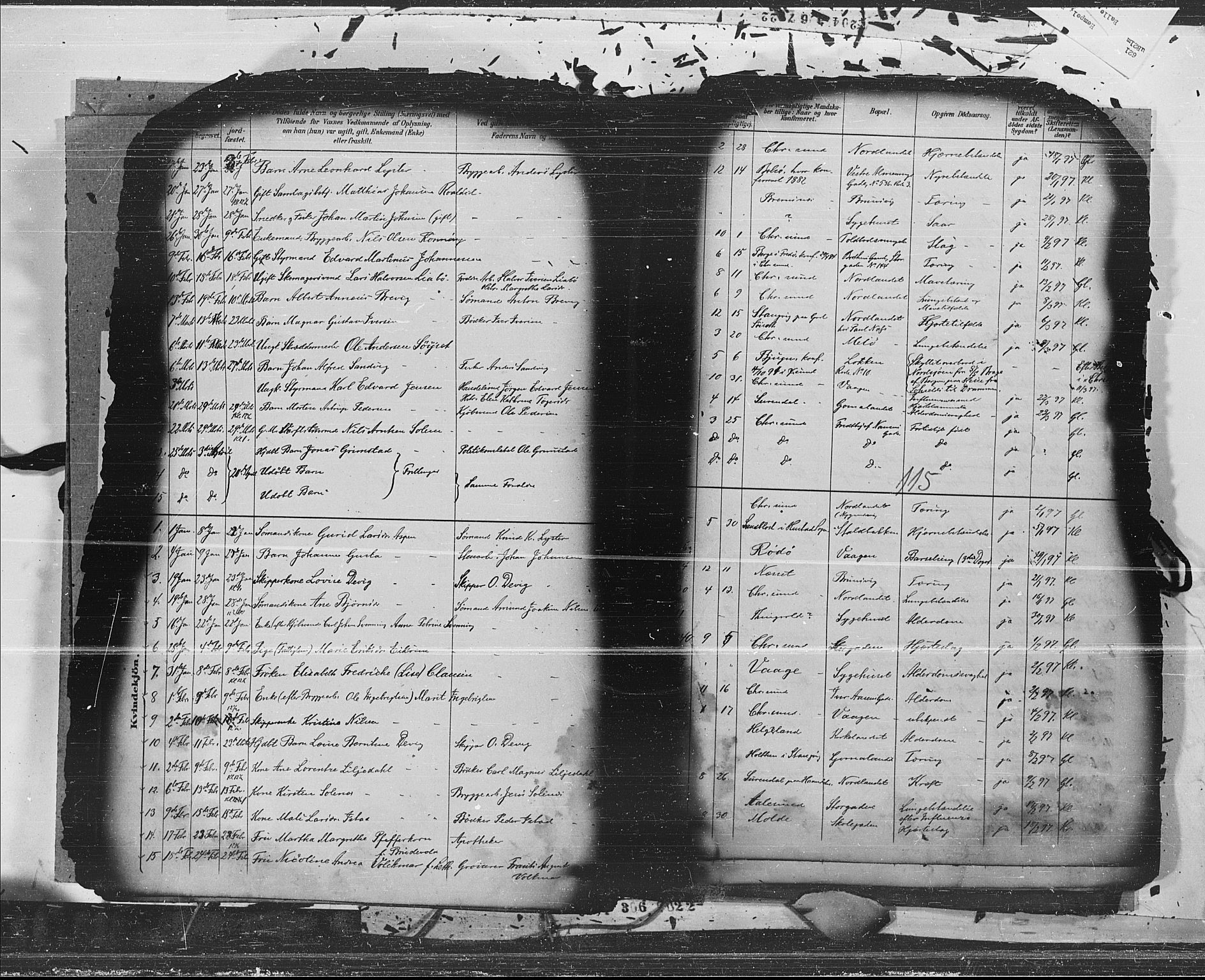 Ministerialprotokoller, klokkerbøker og fødselsregistre - Møre og Romsdal, AV/SAT-A-1454/572/L0853: Parish register (official) no. 572A16, 1880-1901, p. 115