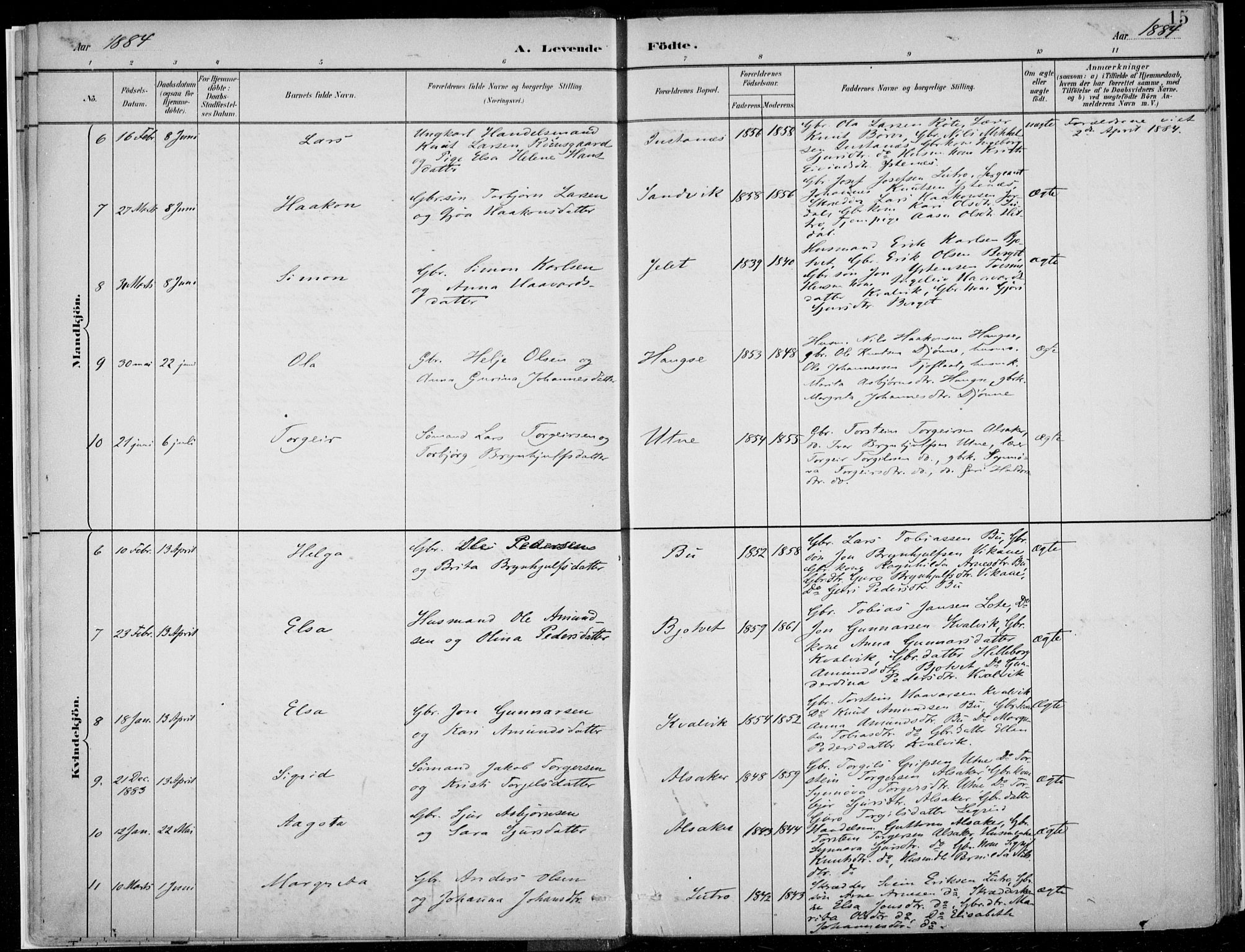 Ullensvang sokneprestembete, SAB/A-78701/H/Haa: Parish register (official) no. E  1, 1882-1921, p. 15