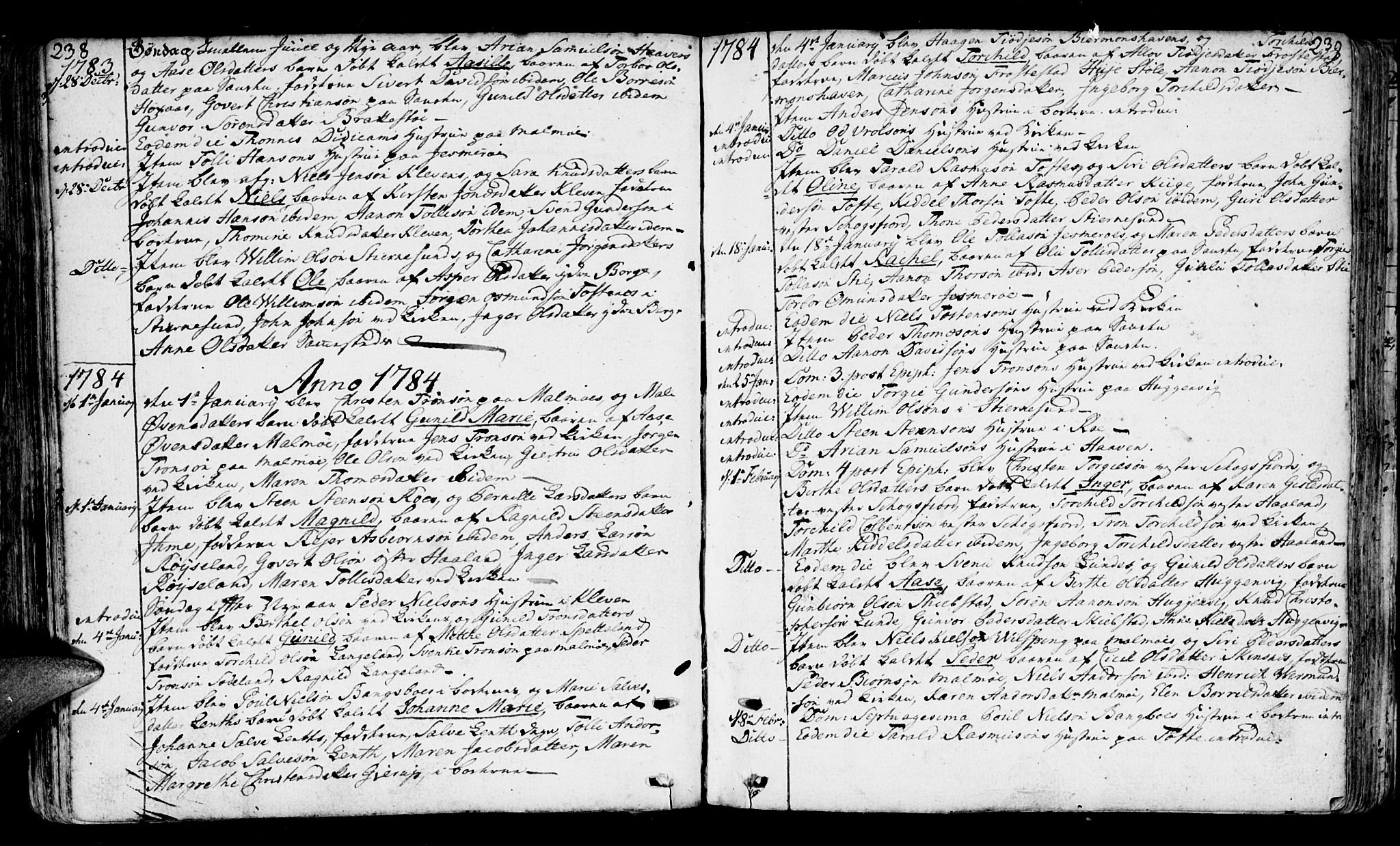 Mandal sokneprestkontor, SAK/1111-0030/F/Fa/Faa/L0003: Parish register (official) no. A 3, 1748-1794, p. 238-239