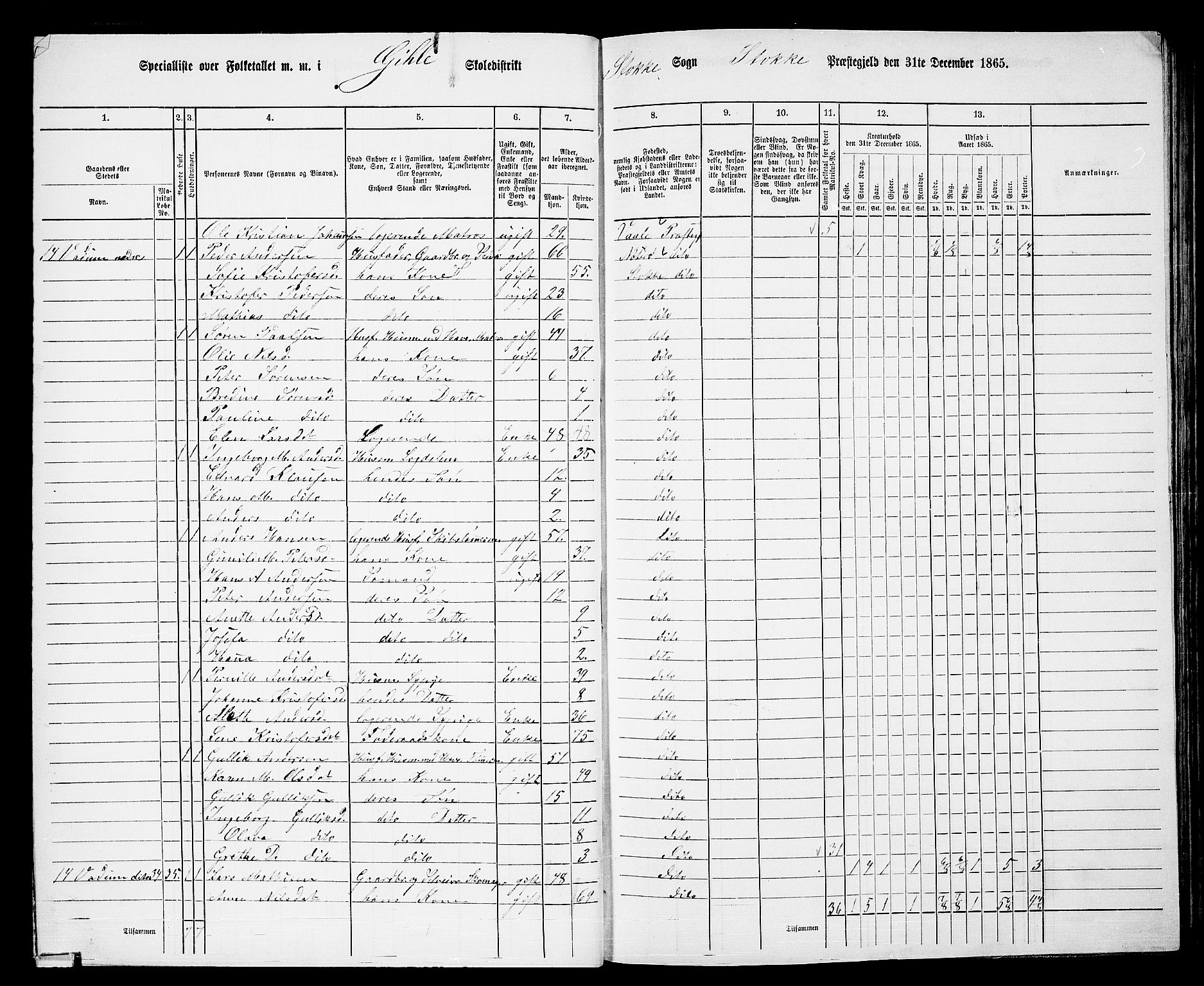 RA, 1865 census for Stokke, 1865, p. 29