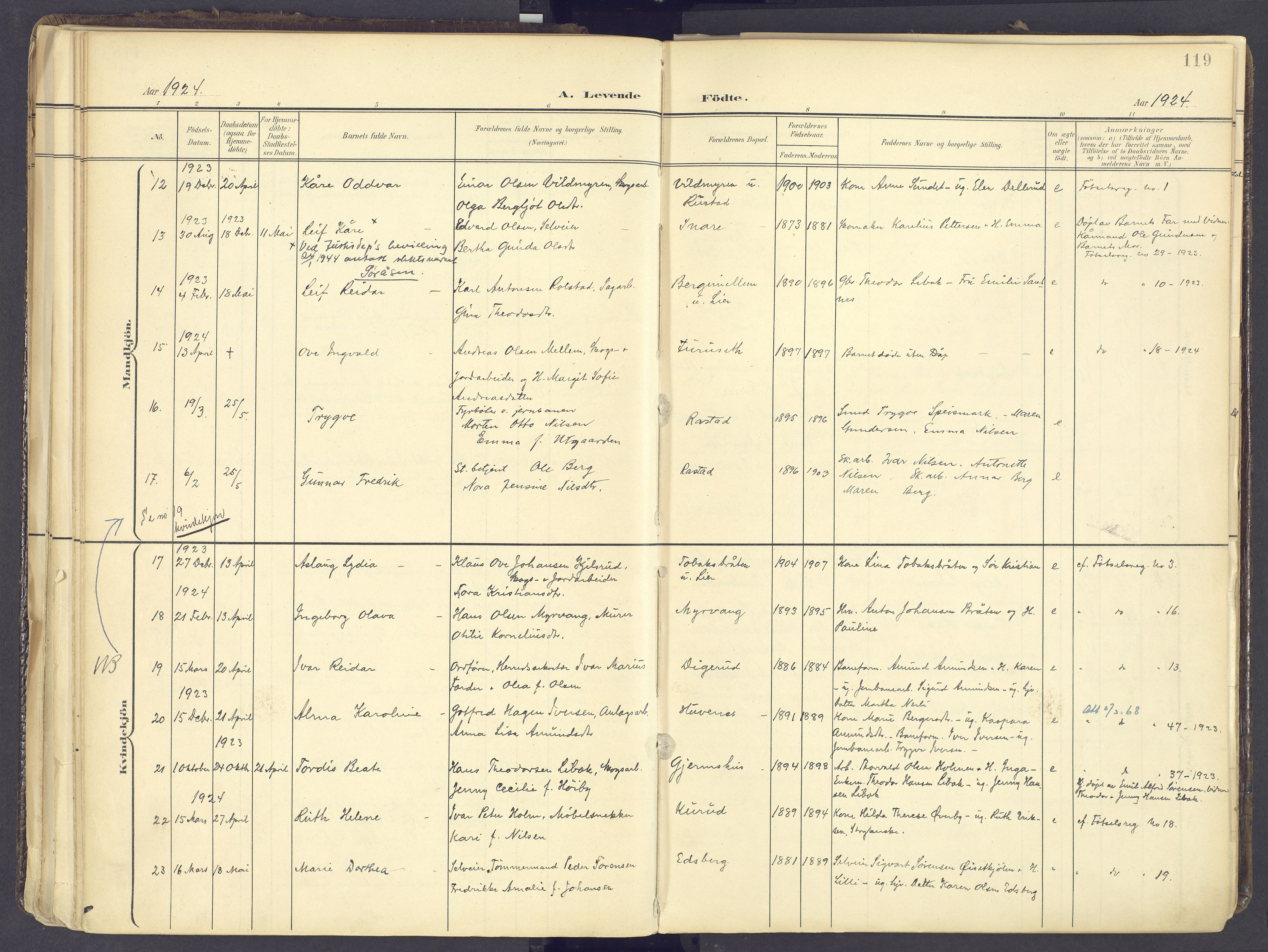 Vinger prestekontor, AV/SAH-PREST-024/H/Ha/Haa/L0017: Parish register (official) no. 17, 1901-1927, p. 119