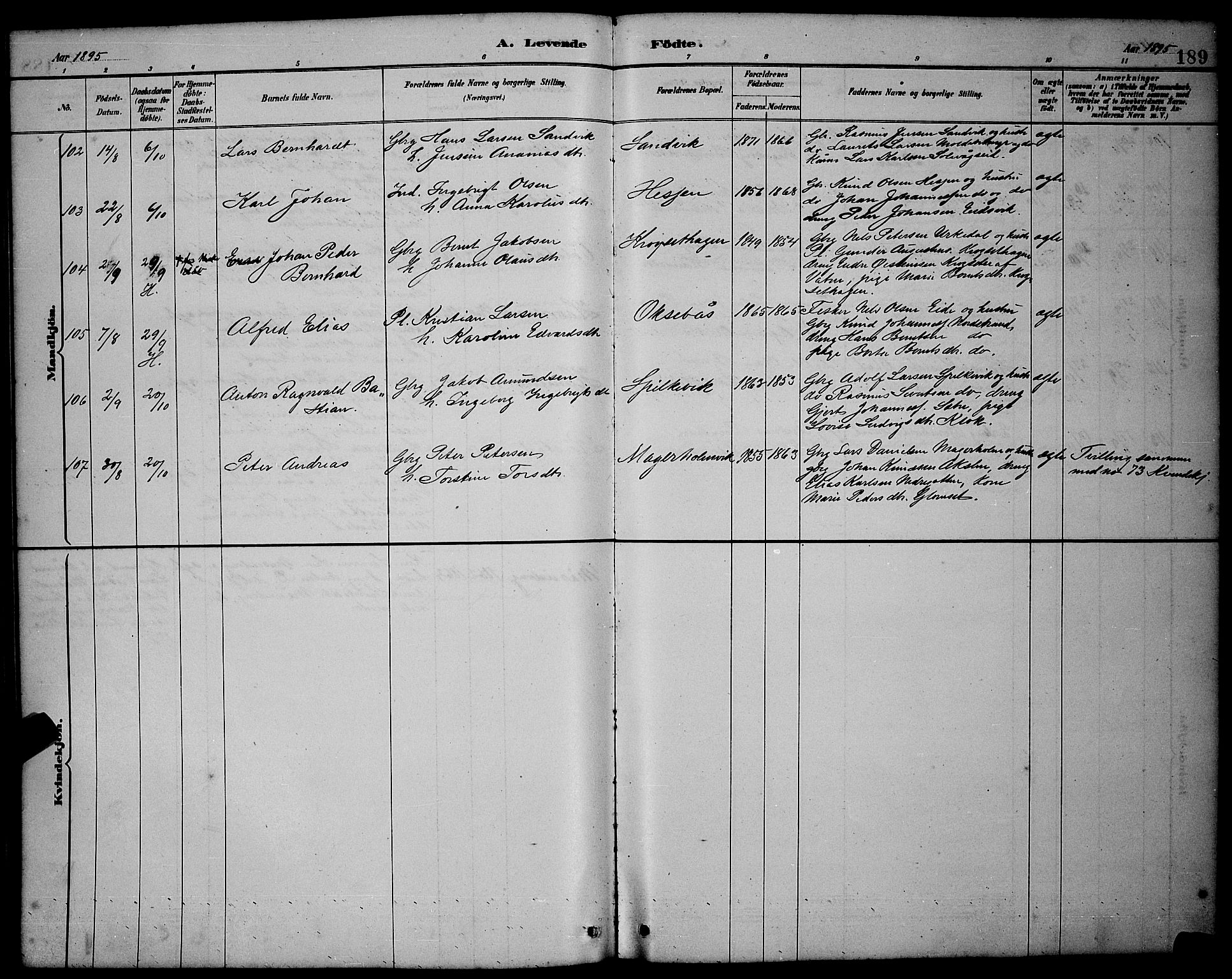 Ministerialprotokoller, klokkerbøker og fødselsregistre - Møre og Romsdal, AV/SAT-A-1454/528/L0431: Parish register (copy) no. 528C12, 1885-1898, p. 189