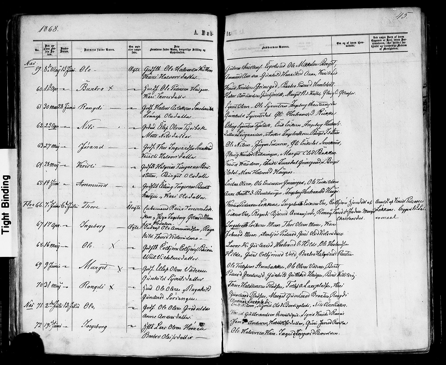 Nes kirkebøker, AV/SAKO-A-236/F/Fa/L0010: Parish register (official) no. 10, 1864-1880, p. 45