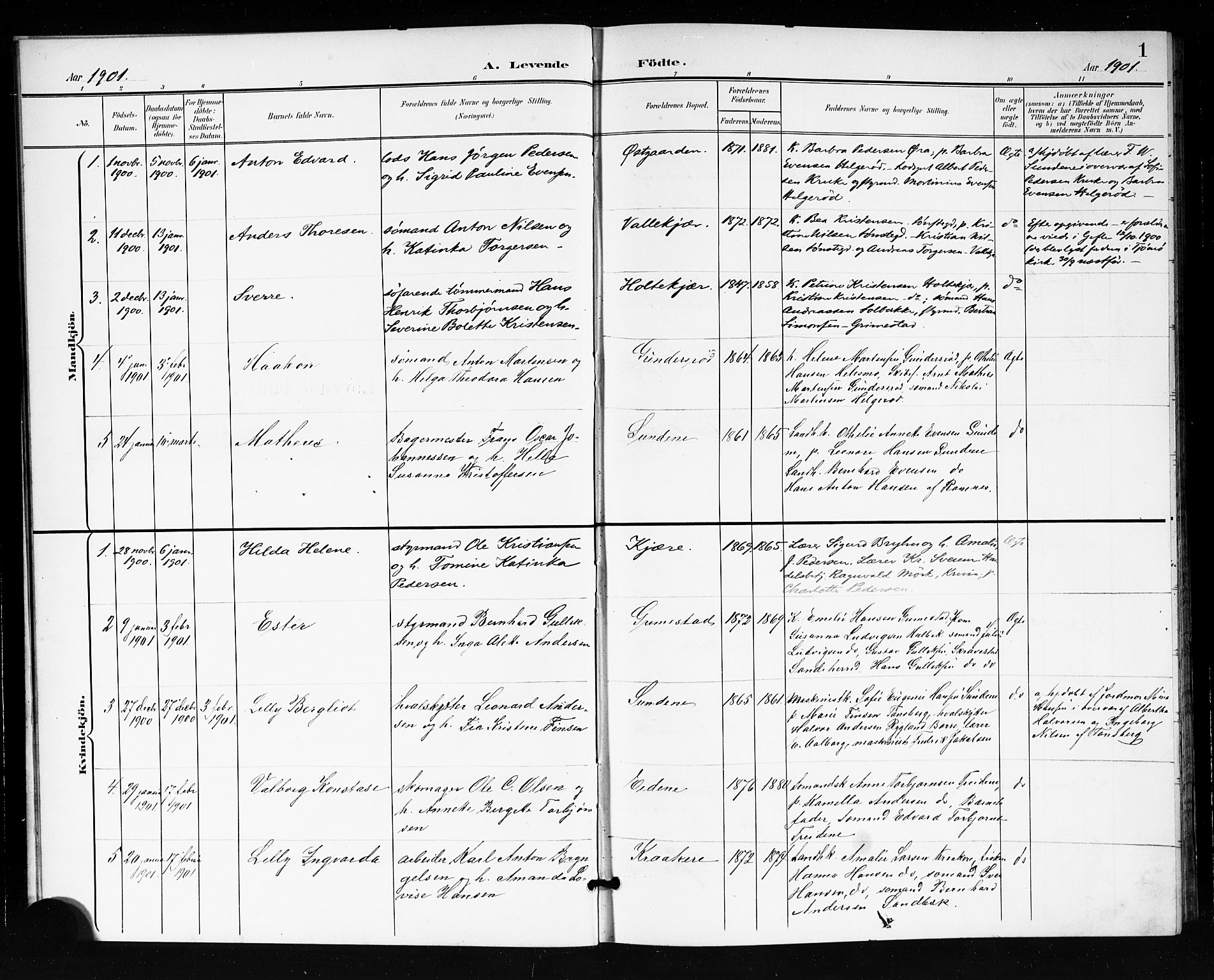 Tjøme kirkebøker, SAKO/A-328/G/Ga/L0001: Parish register (copy) no. 1, 1901-1910, p. 1