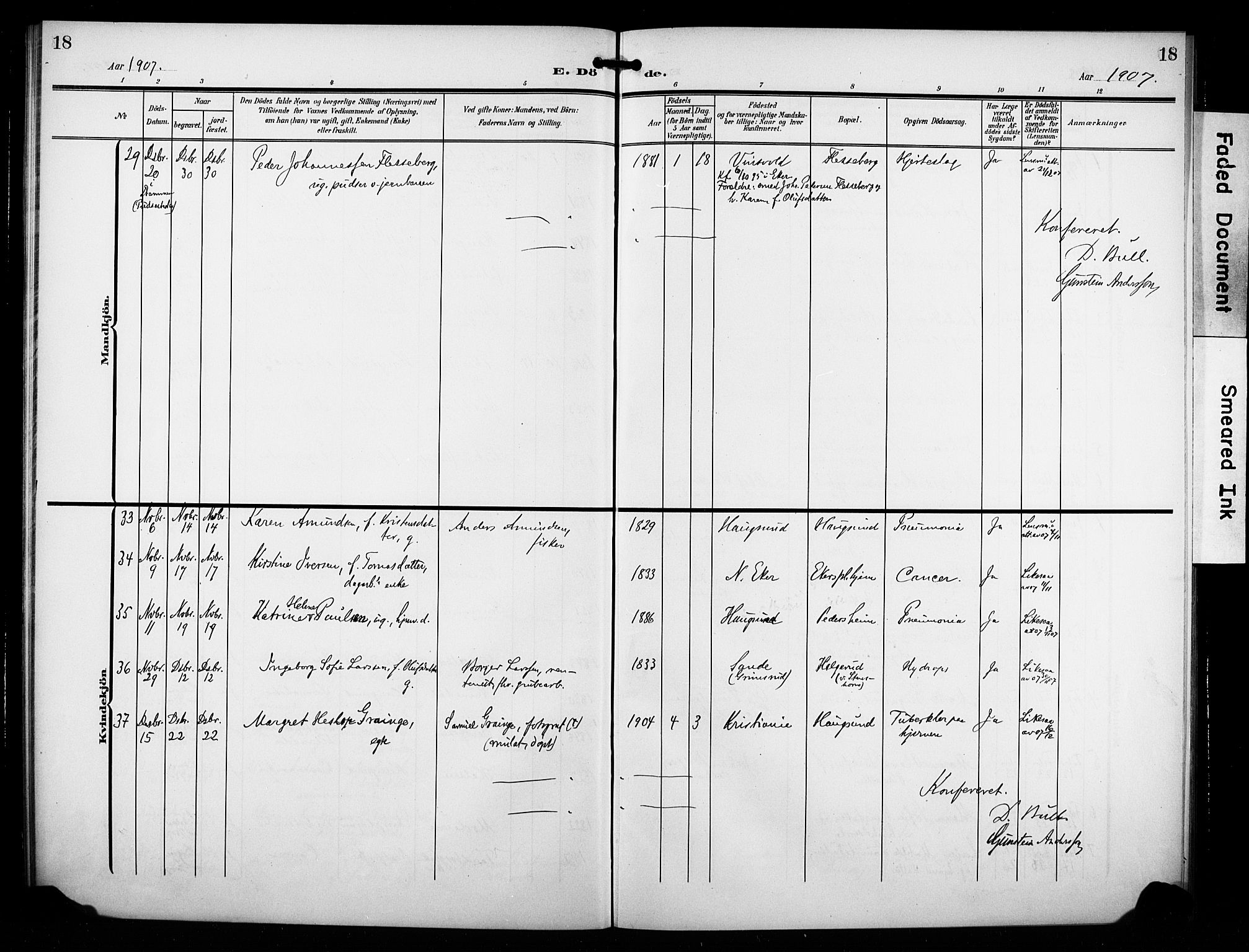 Eiker kirkebøker, AV/SAKO-A-4/F/Fb/L0004: Parish register (official) no. II 4, 1905-1914, p. 18