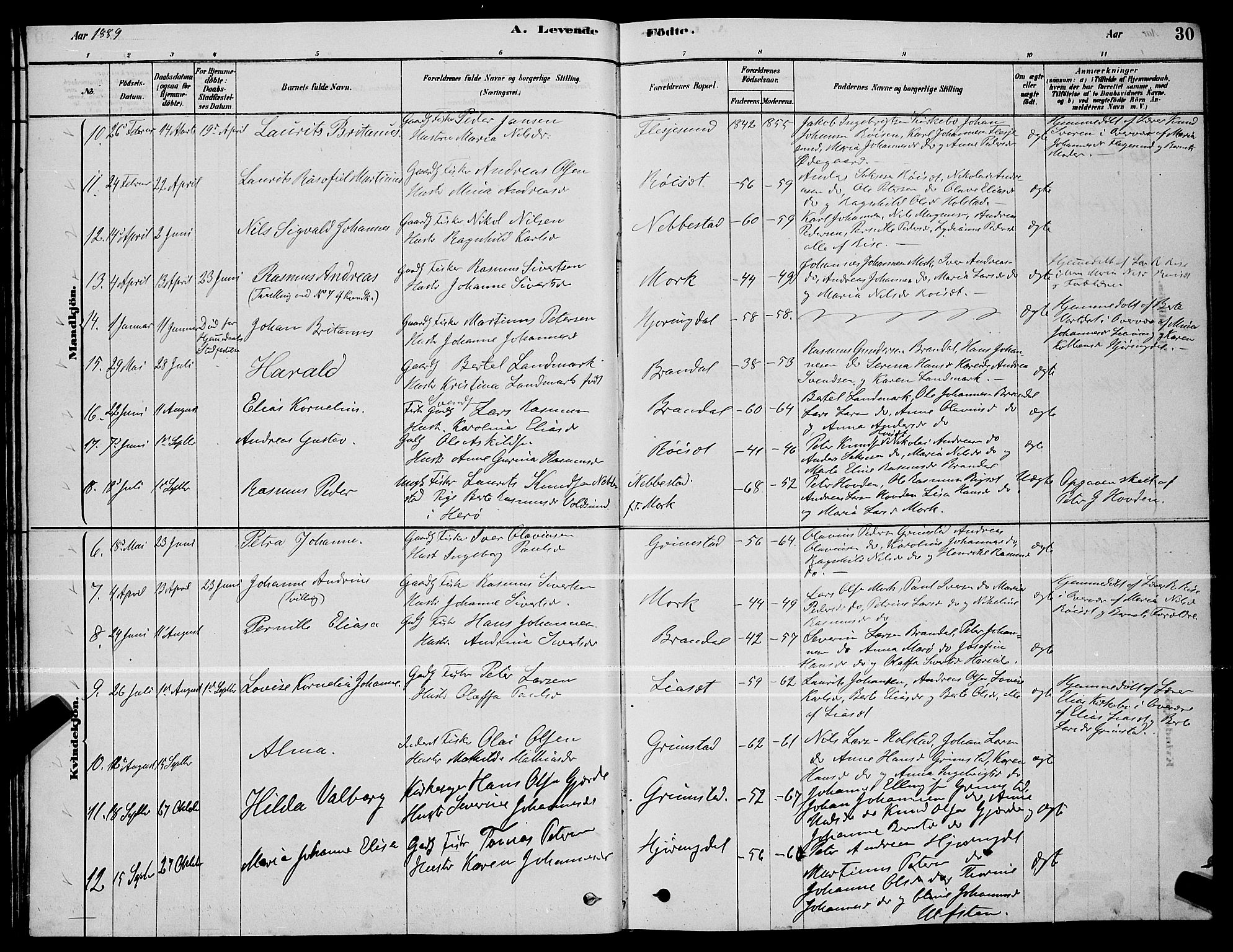 Ministerialprotokoller, klokkerbøker og fødselsregistre - Møre og Romsdal, AV/SAT-A-1454/510/L0125: Parish register (copy) no. 510C02, 1878-1900, p. 30