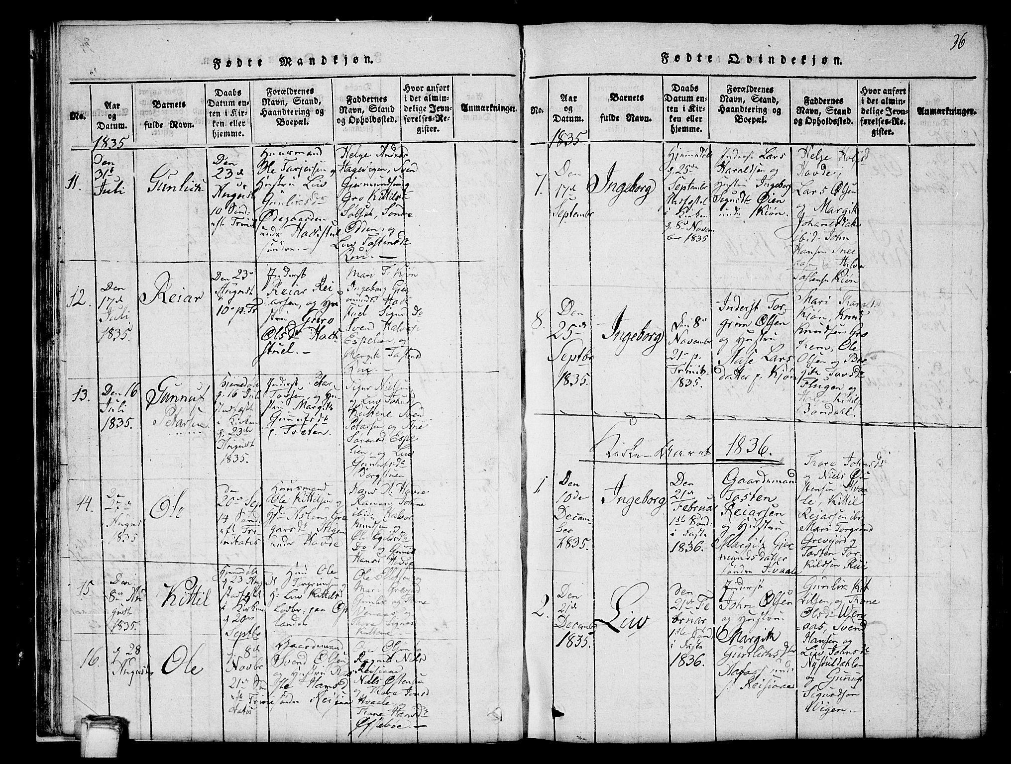 Hjartdal kirkebøker, SAKO/A-270/G/Gc/L0001: Parish register (copy) no. III 1, 1815-1842, p. 36
