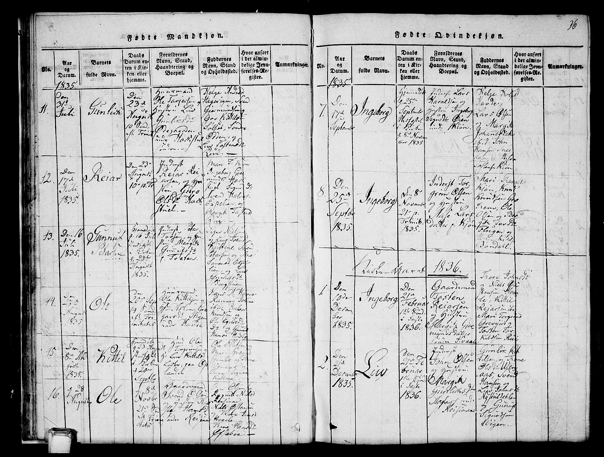 Hjartdal kirkebøker, AV/SAKO-A-270/G/Gc/L0001: Parish register (copy) no. III 1, 1815-1842, p. 36