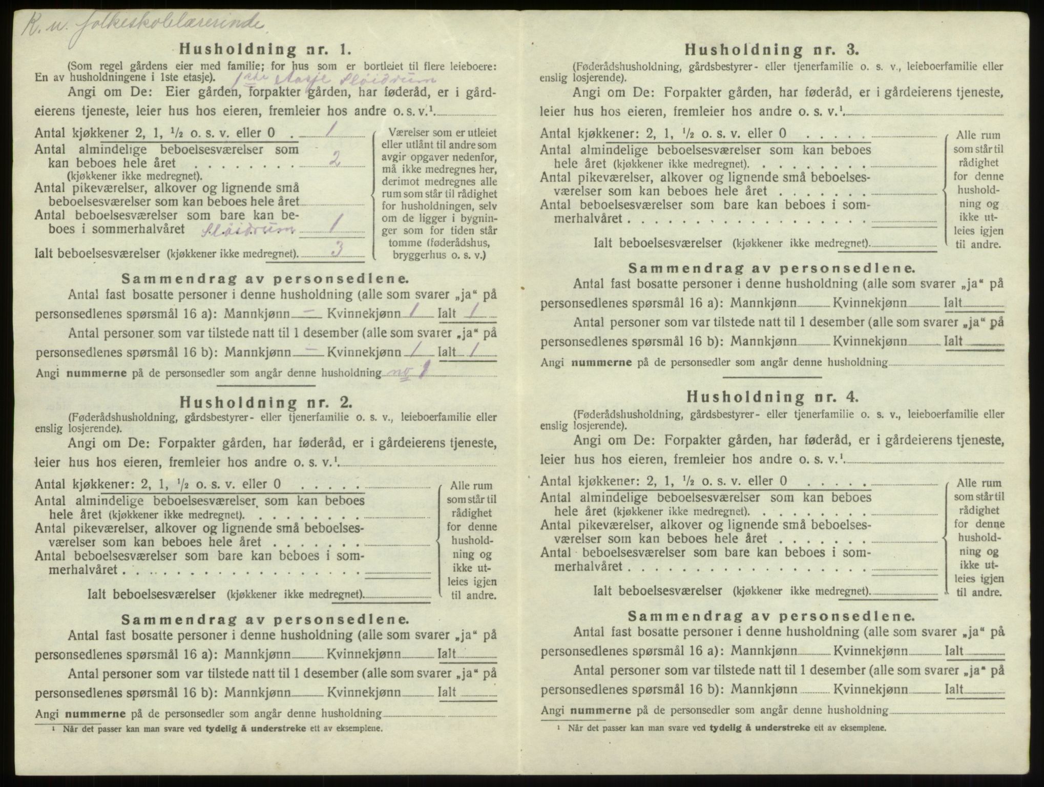 SAO, 1920 census for Borge, 1920, p. 38