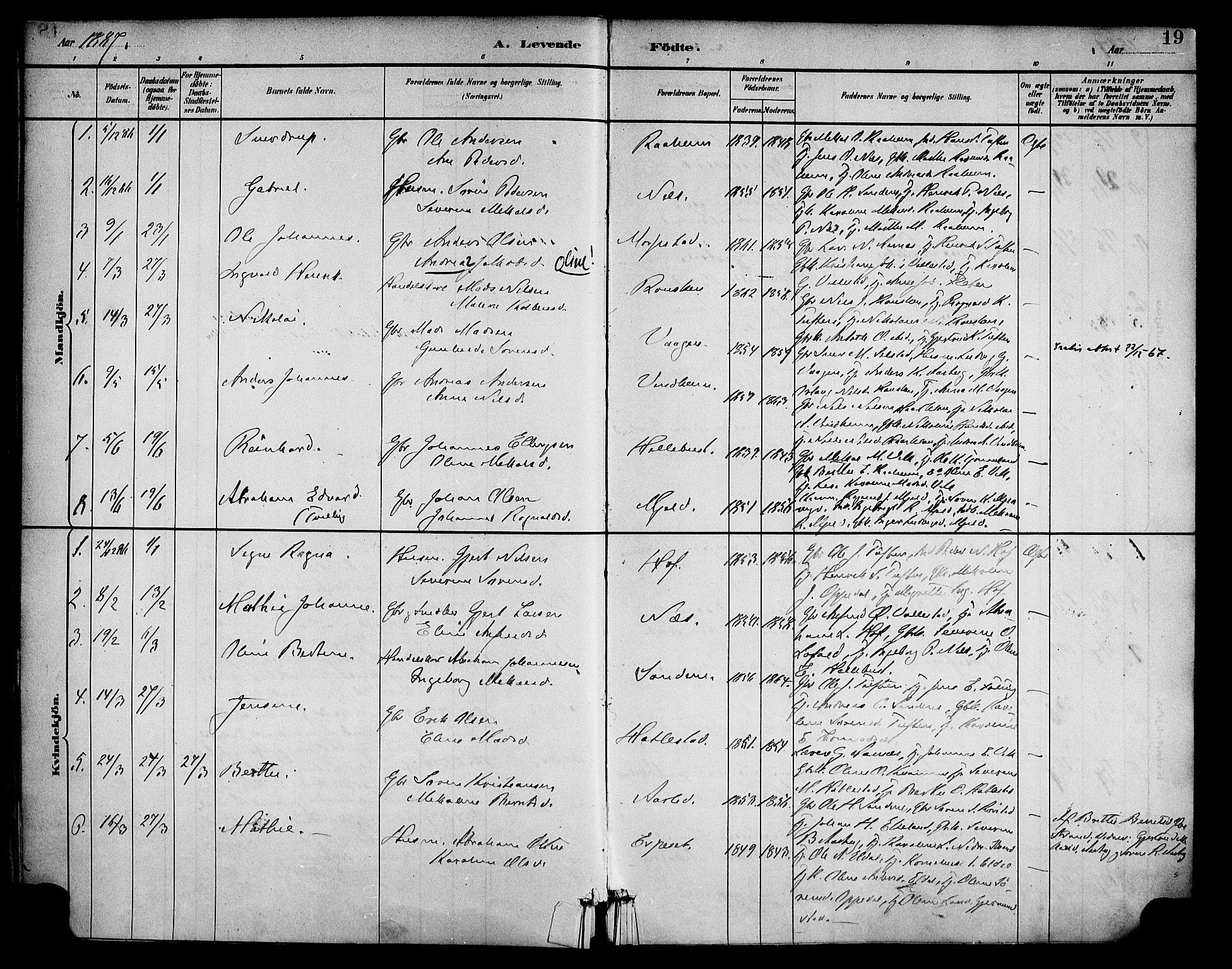 Gaular sokneprestembete, AV/SAB-A-80001/H/Haa: Parish register (official) no. D 1, 1882-1899, p. 19