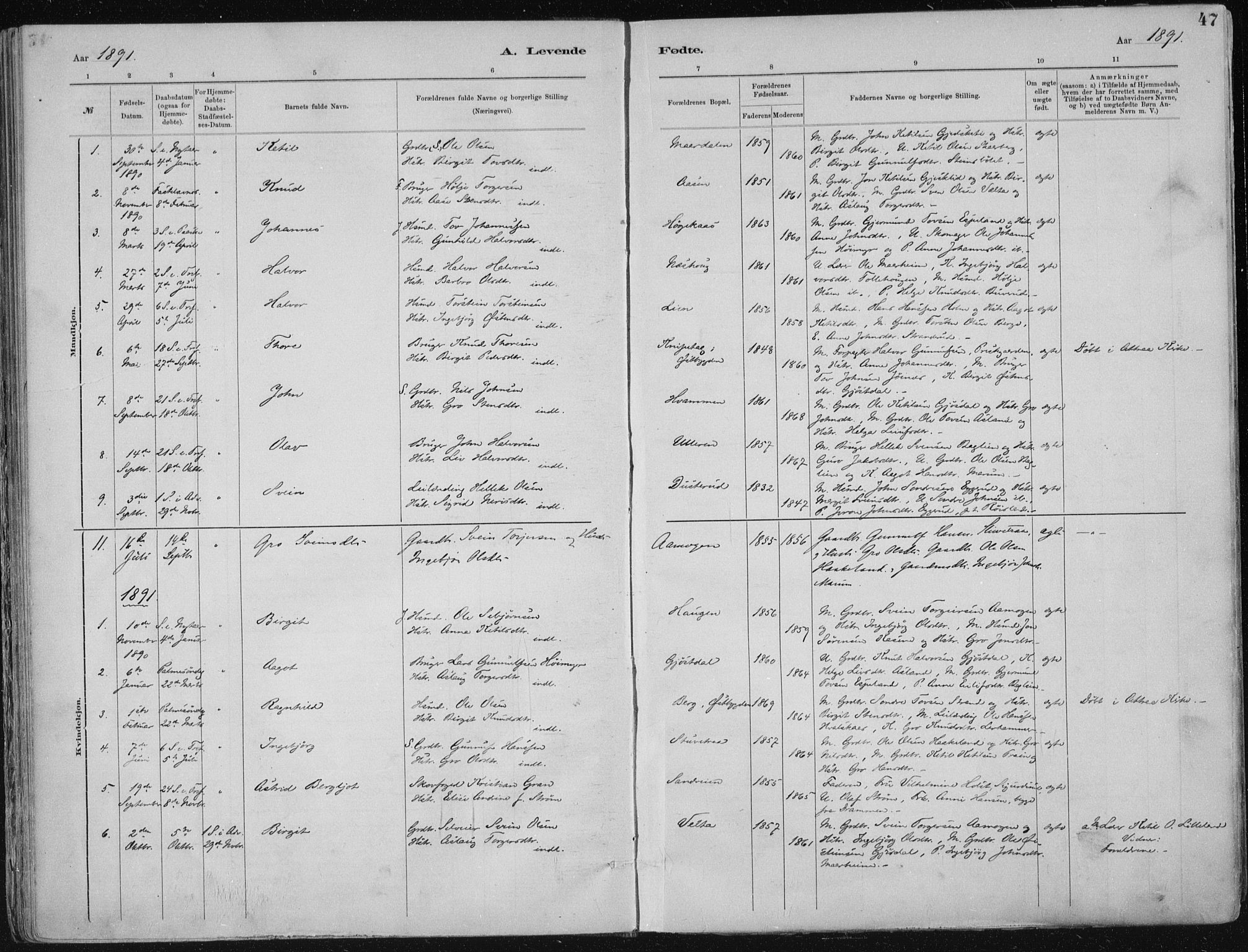 Tinn kirkebøker, SAKO/A-308/F/Fa/L0007: Parish register (official) no. I 7, 1878-1922, p. 47