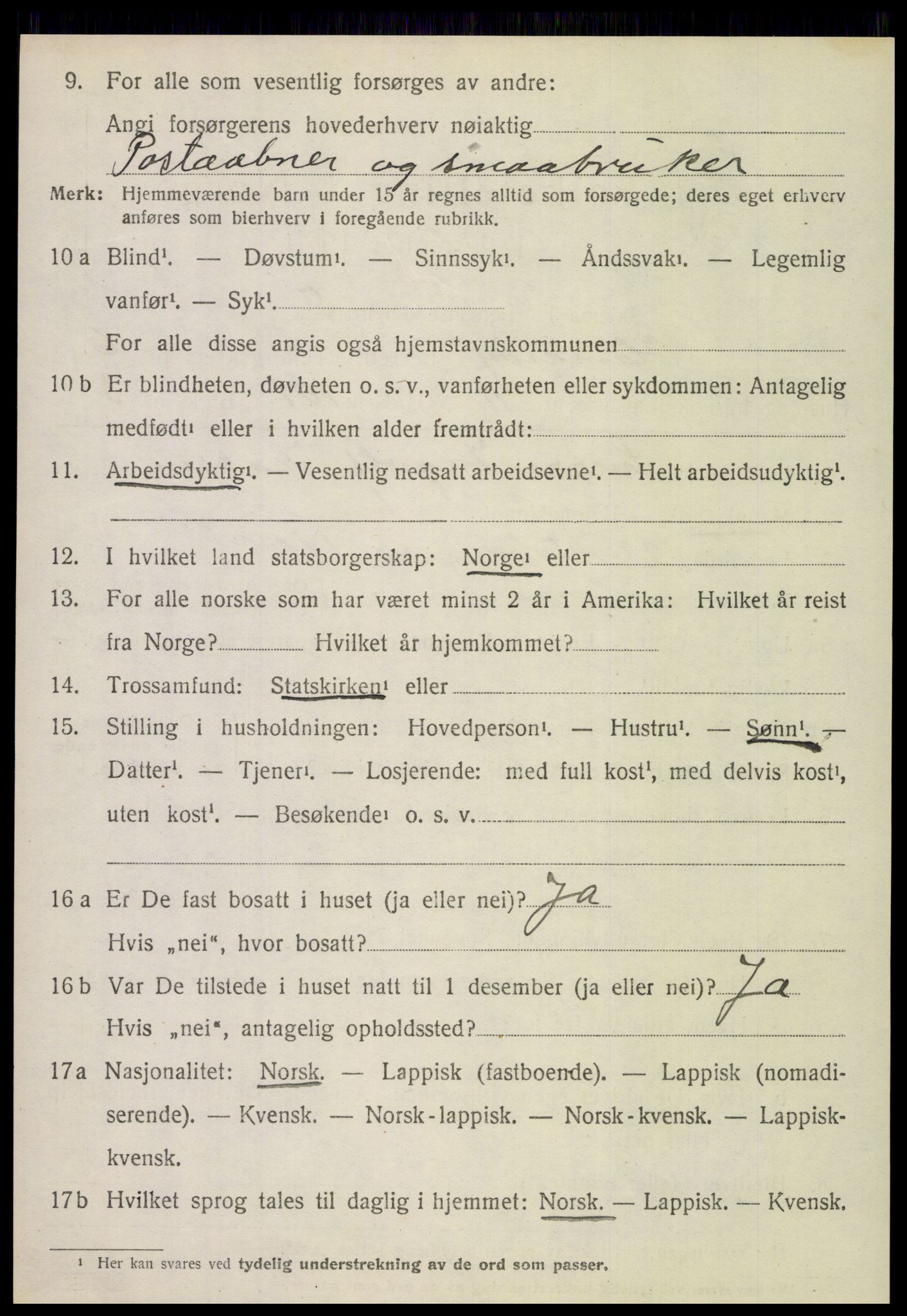 SAT, 1920 census for Hamarøy, 1920, p. 3117