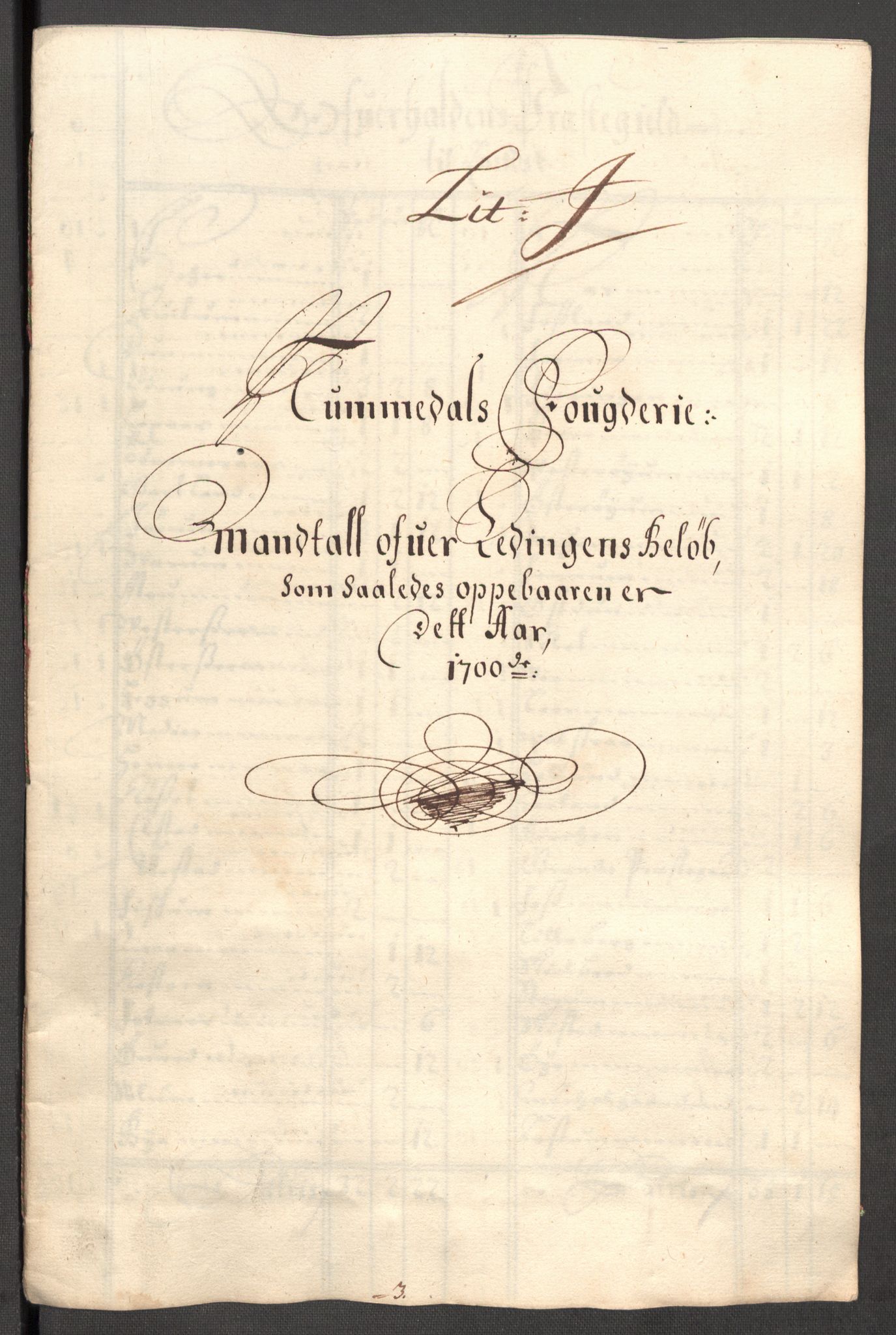 Rentekammeret inntil 1814, Reviderte regnskaper, Fogderegnskap, RA/EA-4092/R64/L4426: Fogderegnskap Namdal, 1699-1700, p. 268
