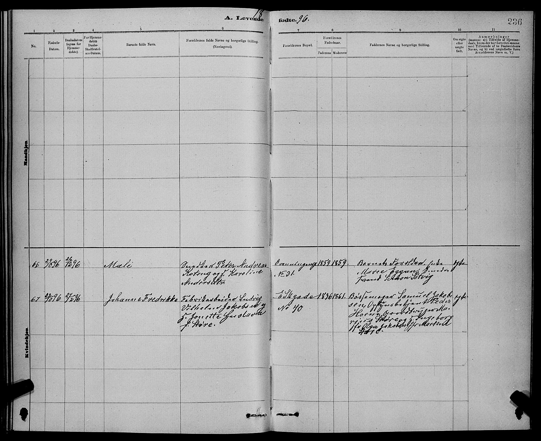 Ministerialprotokoller, klokkerbøker og fødselsregistre - Sør-Trøndelag, SAT/A-1456/601/L0092: Parish register (copy) no. 601C10, 1884-1897, p. 236