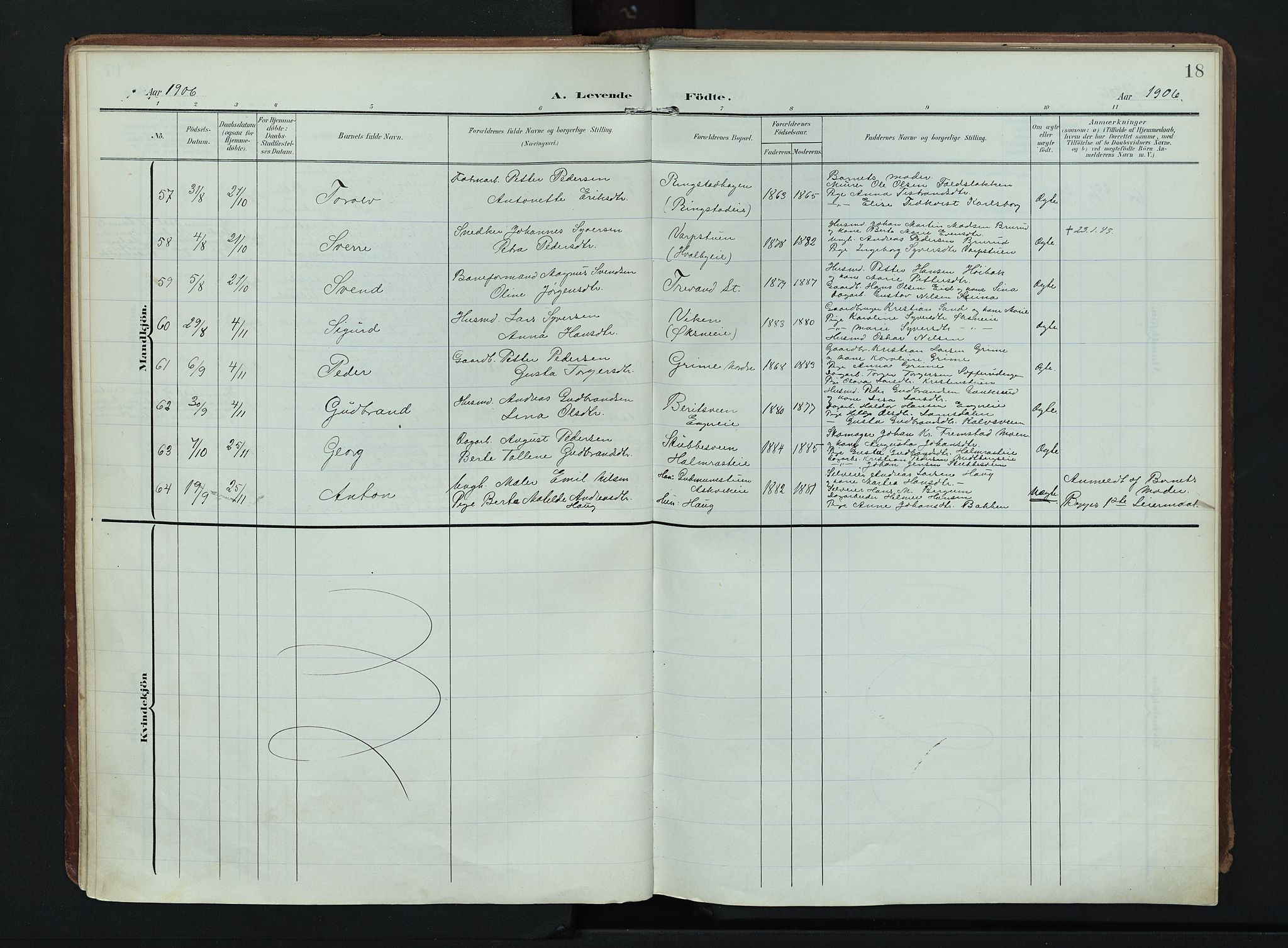 Søndre Land prestekontor, AV/SAH-PREST-122/K/L0007: Parish register (official) no. 7, 1905-1914, p. 18