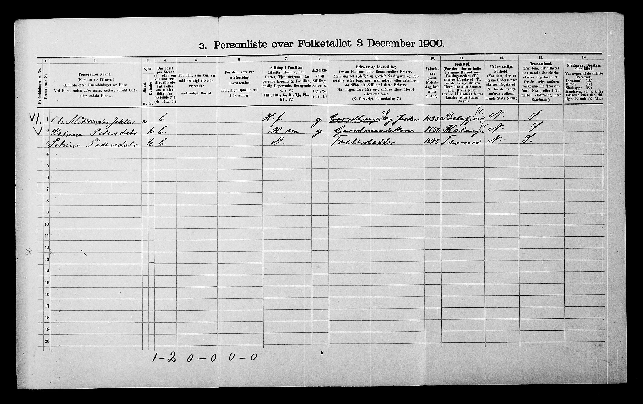 SATØ, 1900 census for Tromsøysund, 1900, p. 1187