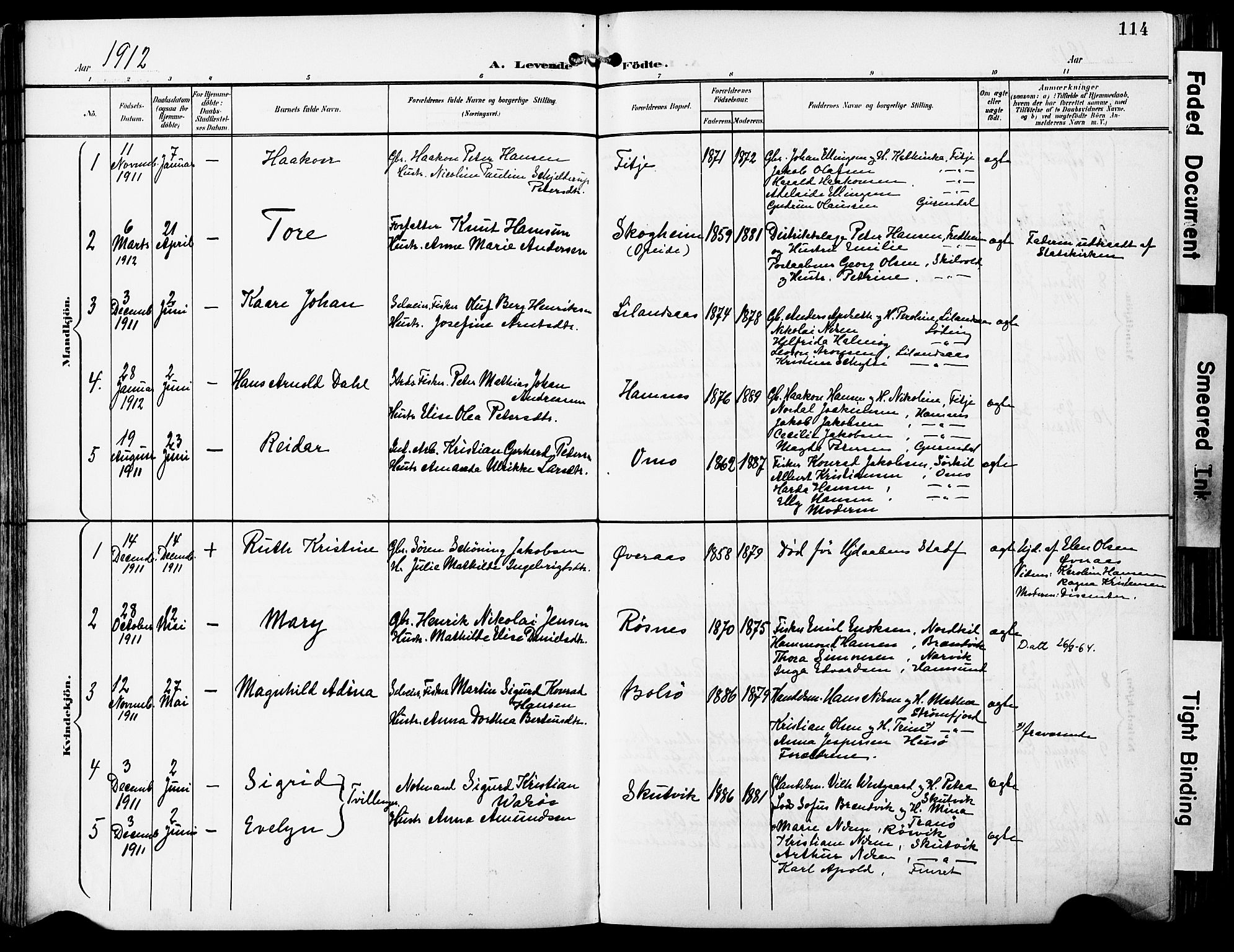 Ministerialprotokoller, klokkerbøker og fødselsregistre - Nordland, AV/SAT-A-1459/859/L0848: Parish register (official) no. 859A08, 1900-1912, p. 114