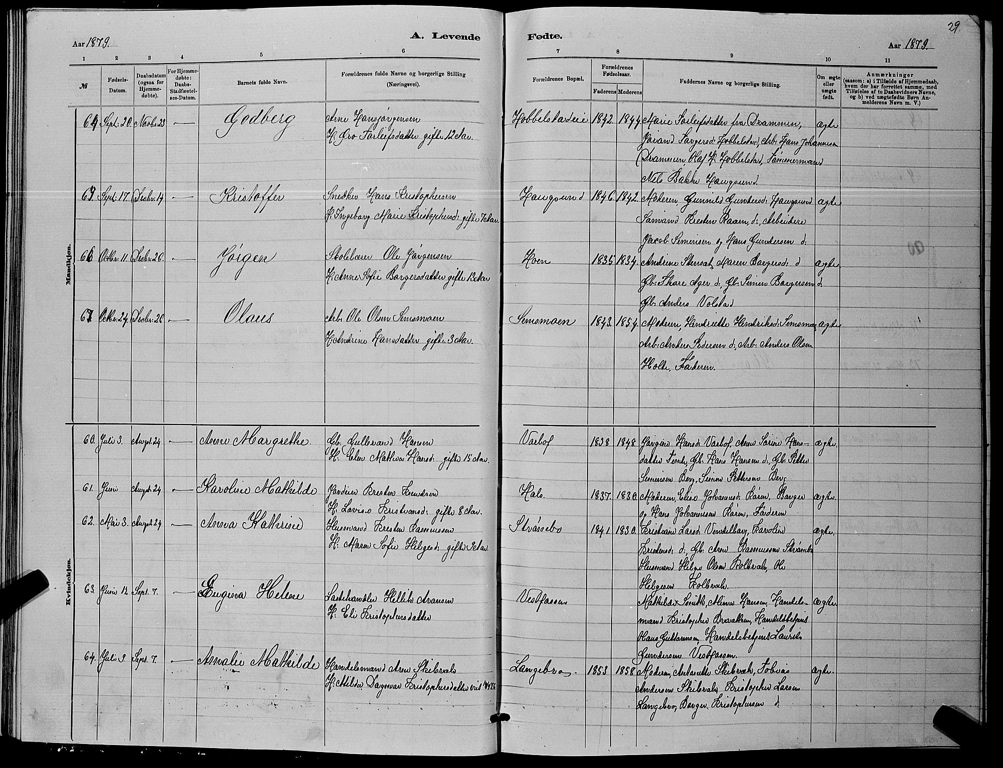 Eiker kirkebøker, AV/SAKO-A-4/G/Ga/L0005: Parish register (copy) no. I 5, 1878-1887, p. 29