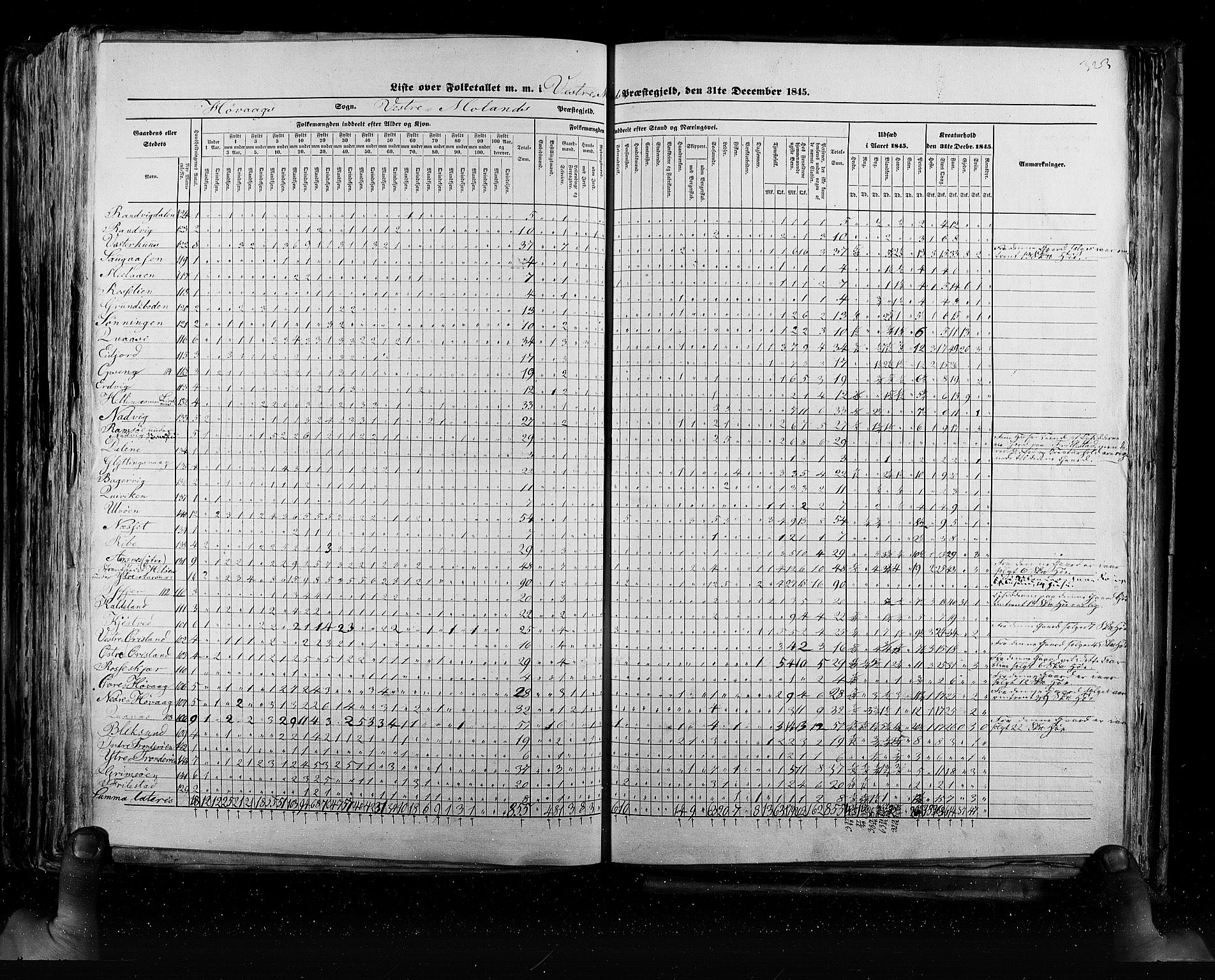 RA, Census 1845, vol. 5: Bratsberg amt og Nedenes og Råbyggelaget amt, 1845, p. 323