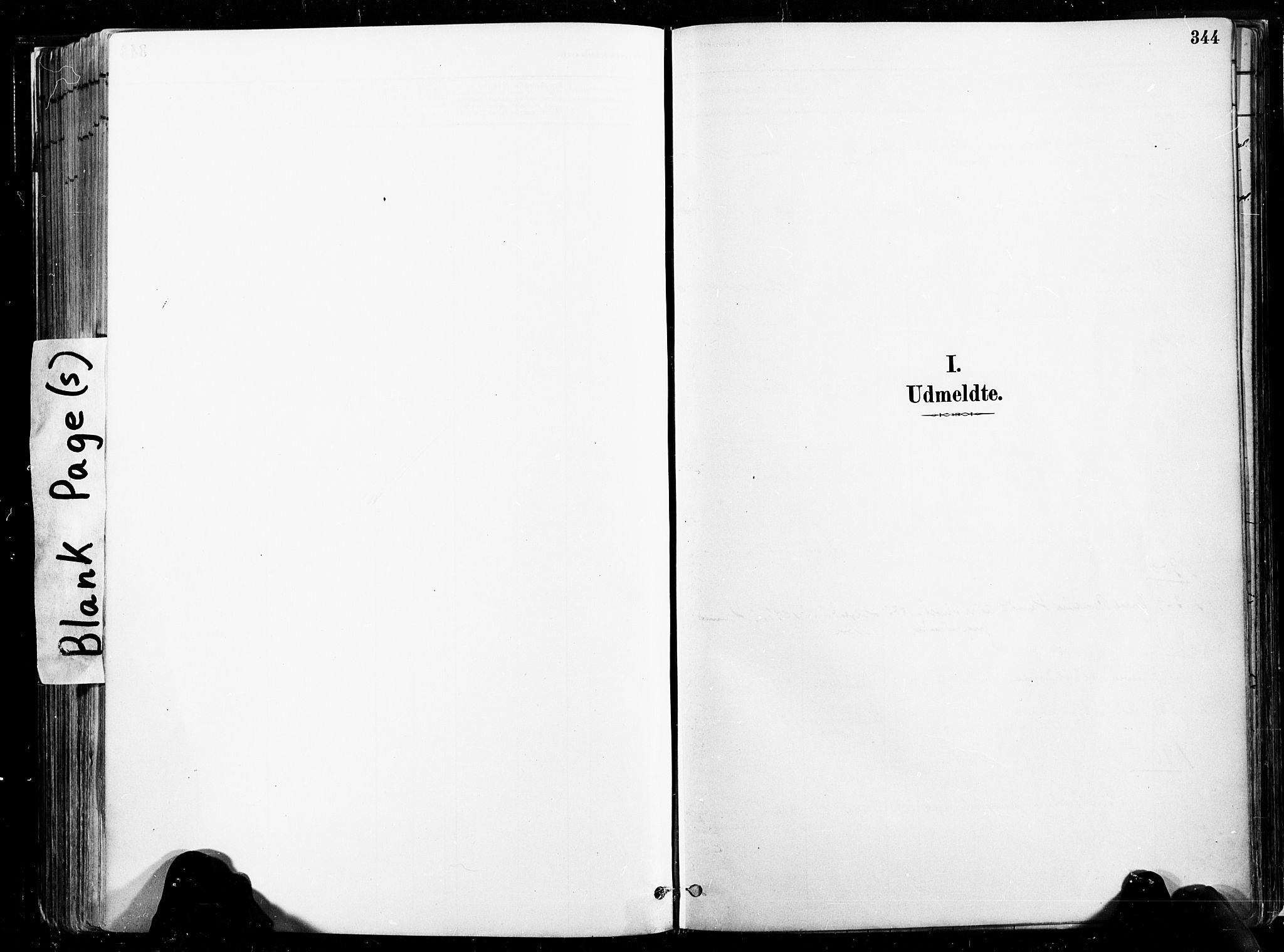 Ministerialprotokoller, klokkerbøker og fødselsregistre - Nord-Trøndelag, SAT/A-1458/735/L0351: Parish register (official) no. 735A10, 1884-1908, p. 344