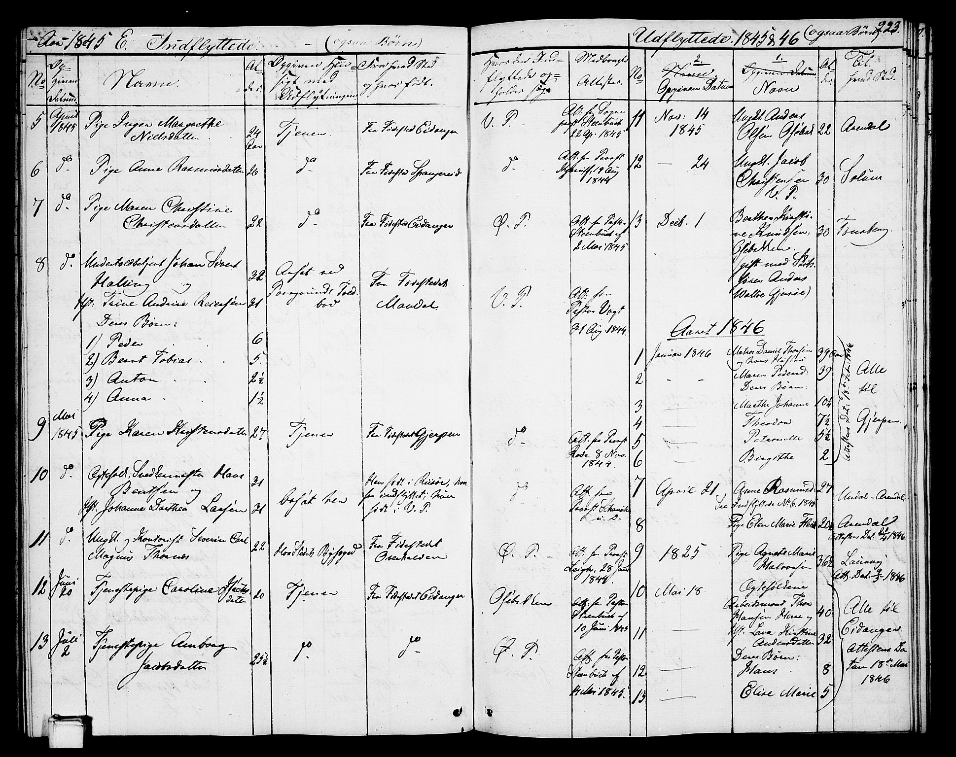 Porsgrunn kirkebøker , SAKO/A-104/G/Gb/L0003: Parish register (copy) no. II 3, 1841-1852, p. 223