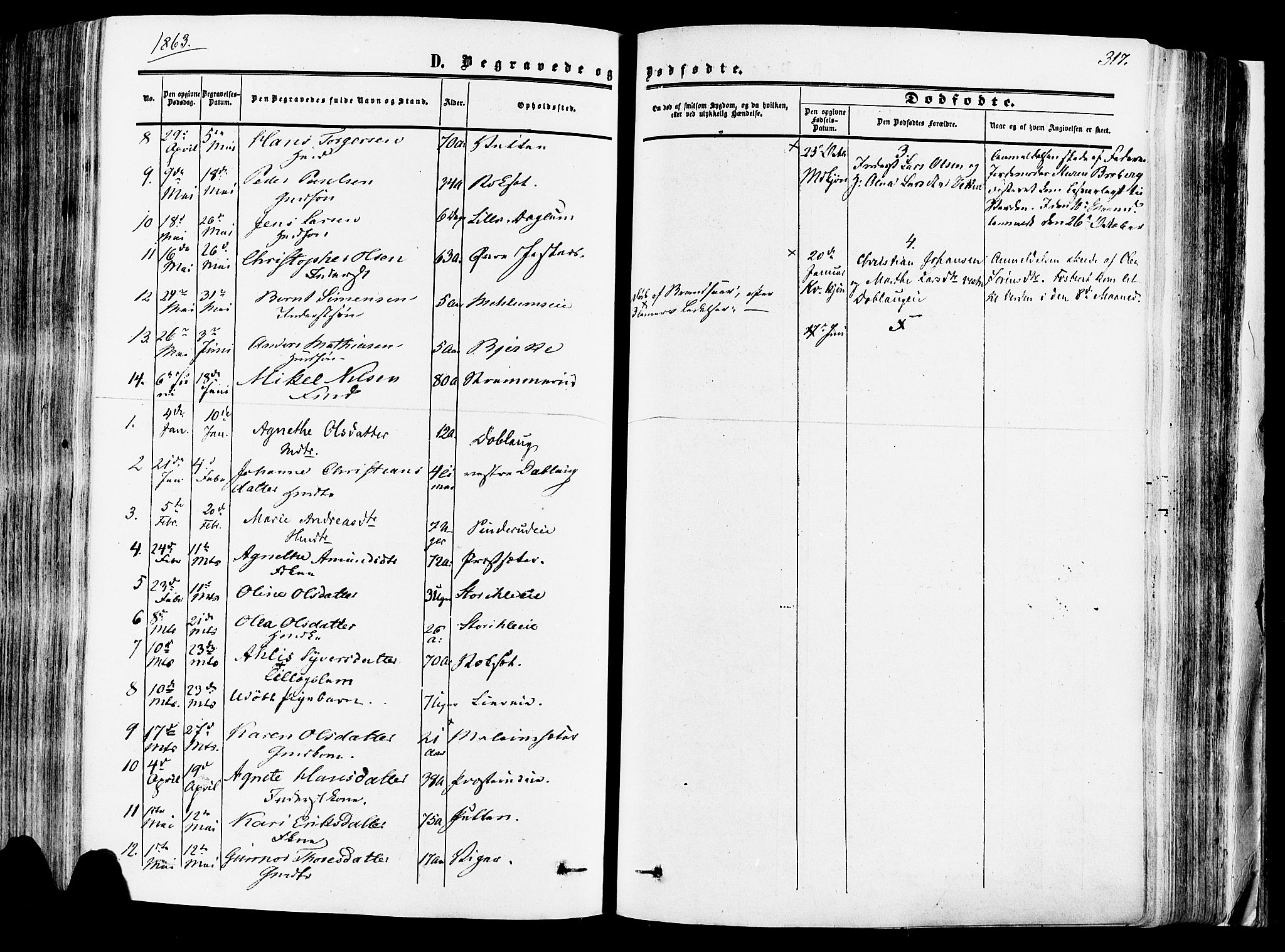 Vang prestekontor, Hedmark, SAH/PREST-008/H/Ha/Haa/L0013: Parish register (official) no. 13, 1855-1879, p. 317