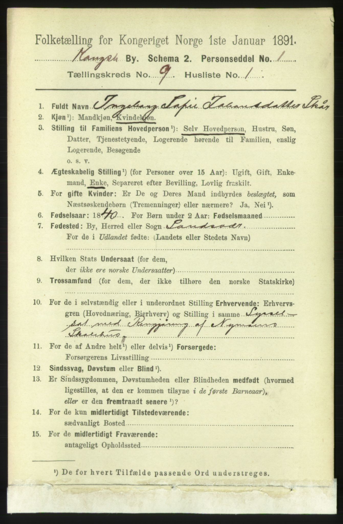 RA, 1891 census for 0604 Kongsberg, 1891, p. 6048