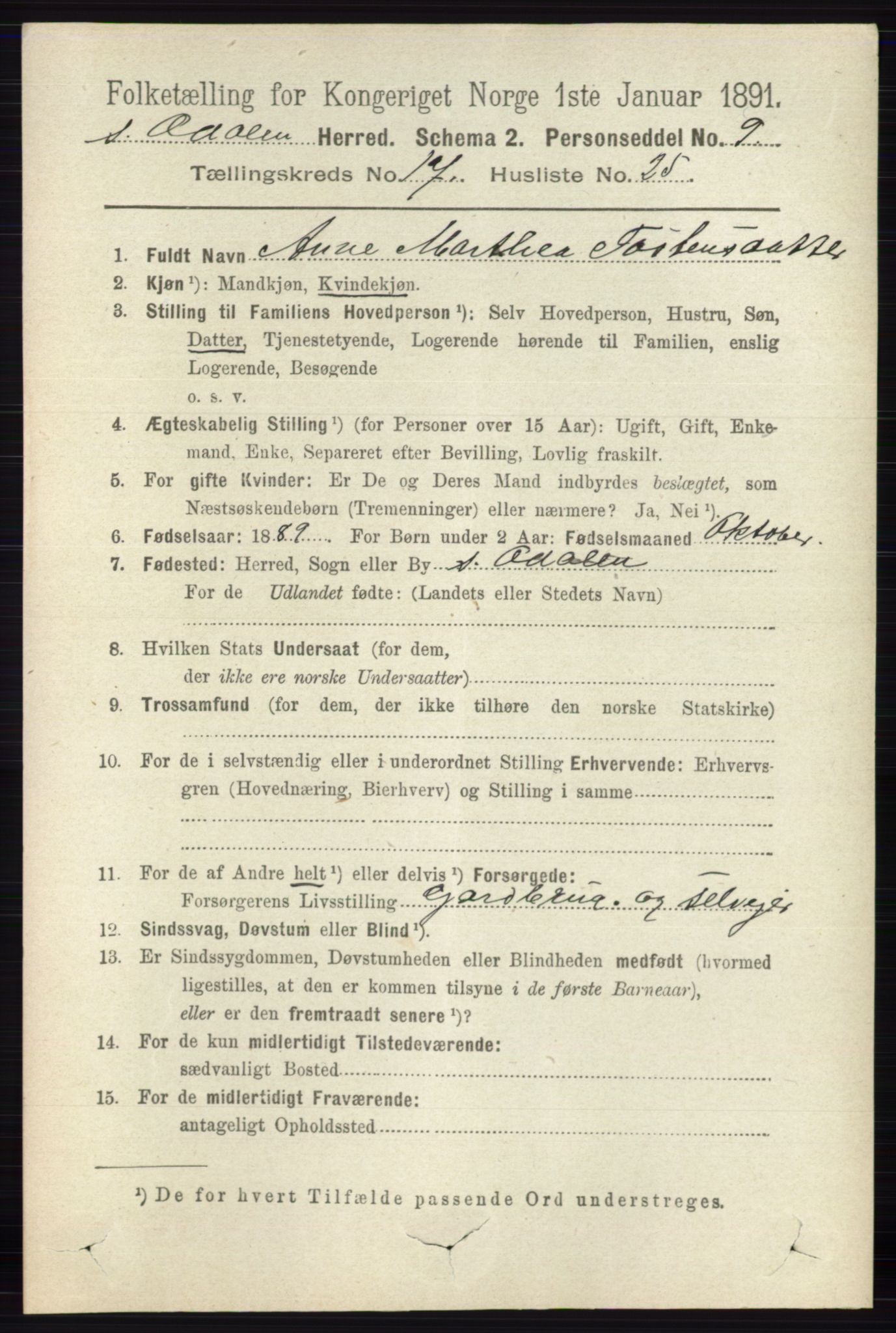 RA, 1891 census for 0419 Sør-Odal, 1891, p. 8011