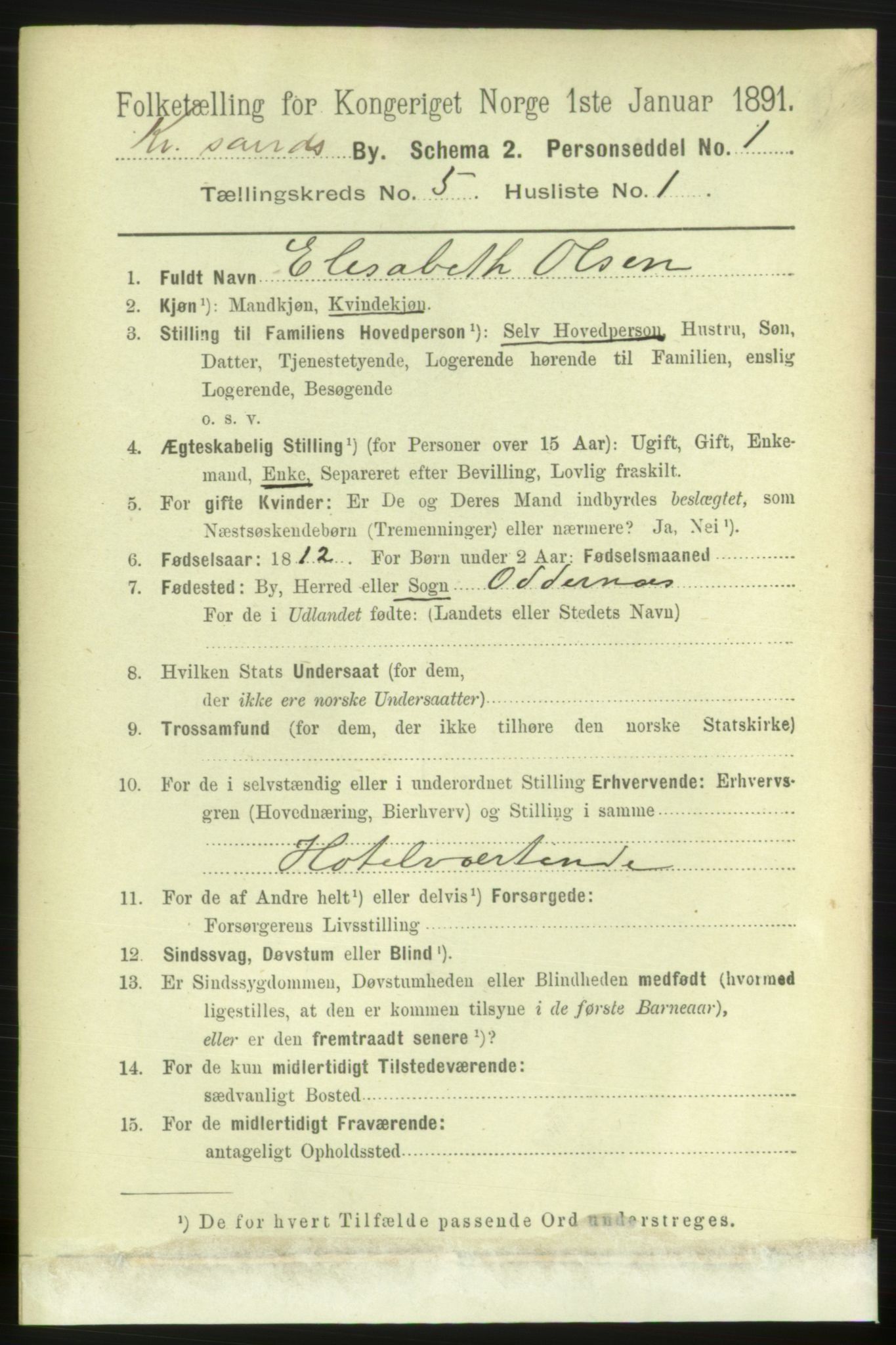 RA, 1891 census for 1001 Kristiansand, 1891, p. 3990