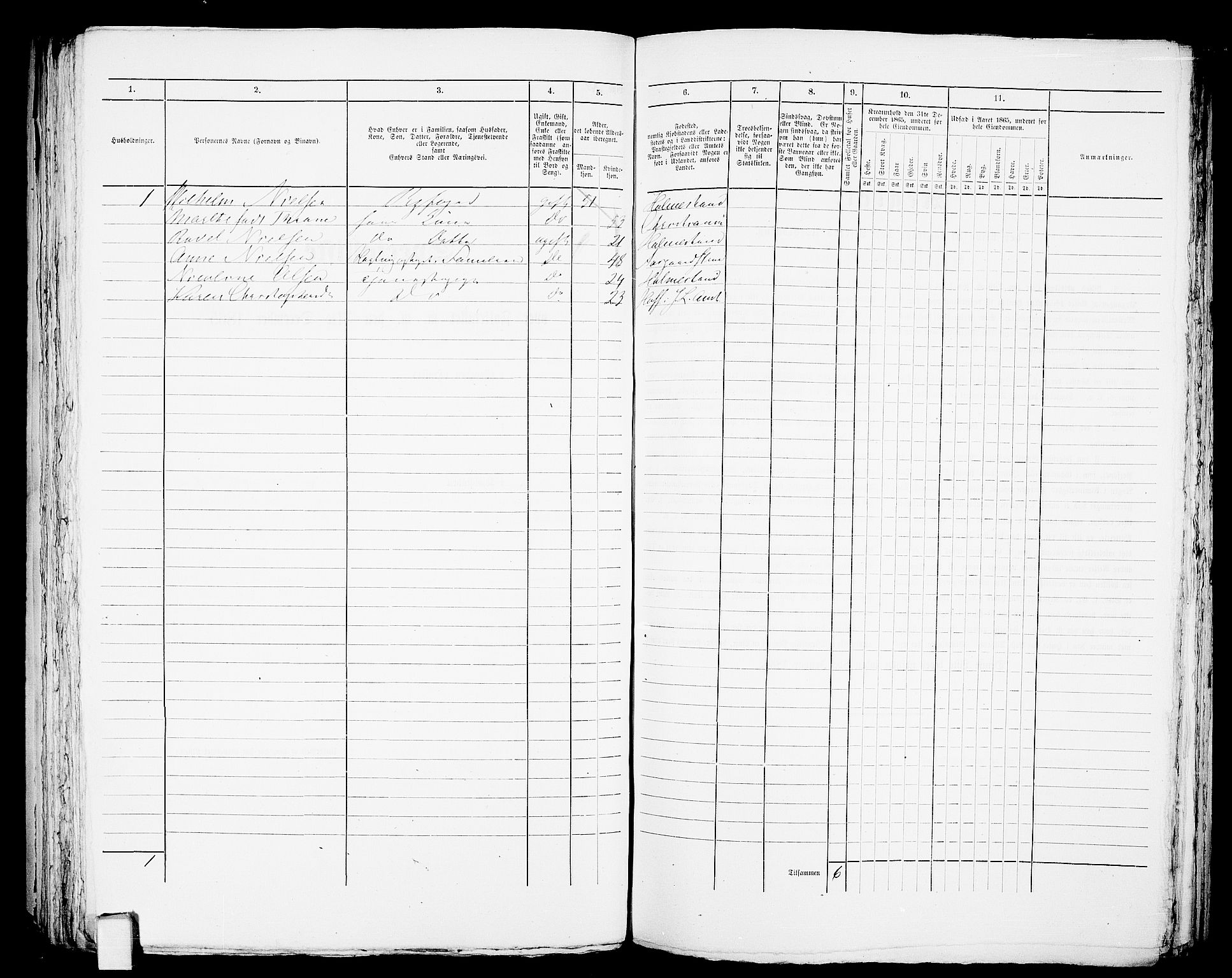 RA, 1865 census for Botne/Holmestrand, 1865, p. 190