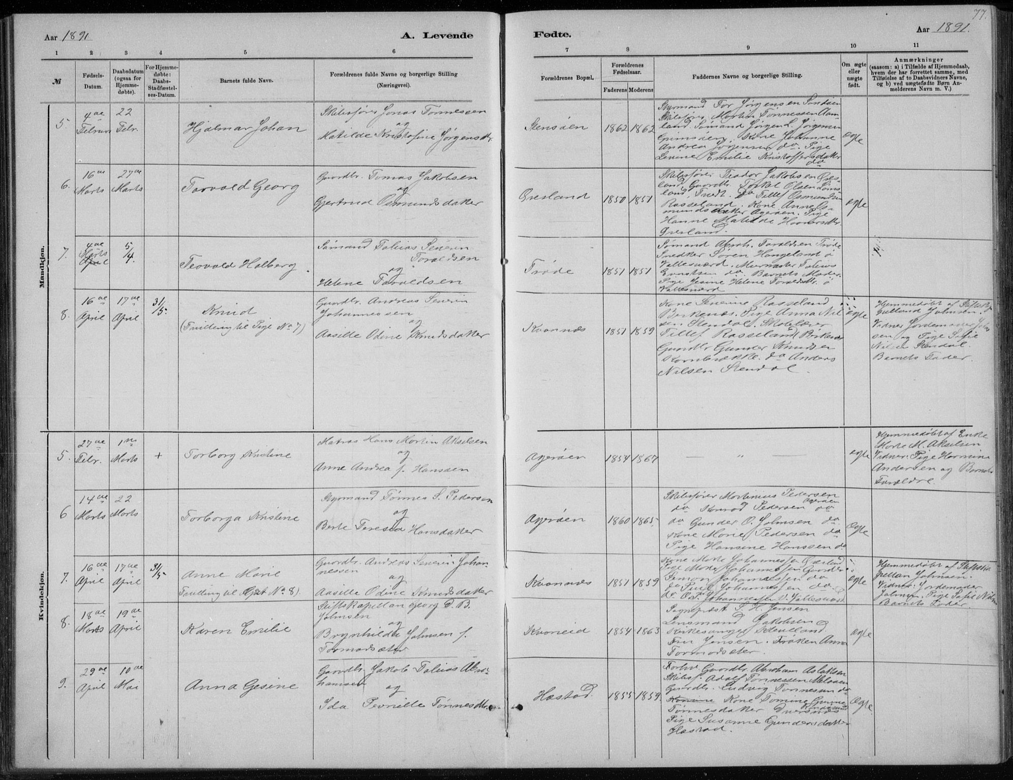 Høvåg sokneprestkontor, SAK/1111-0025/F/Fb/L0004: Parish register (copy) no. B 4, 1883-1898, p. 77