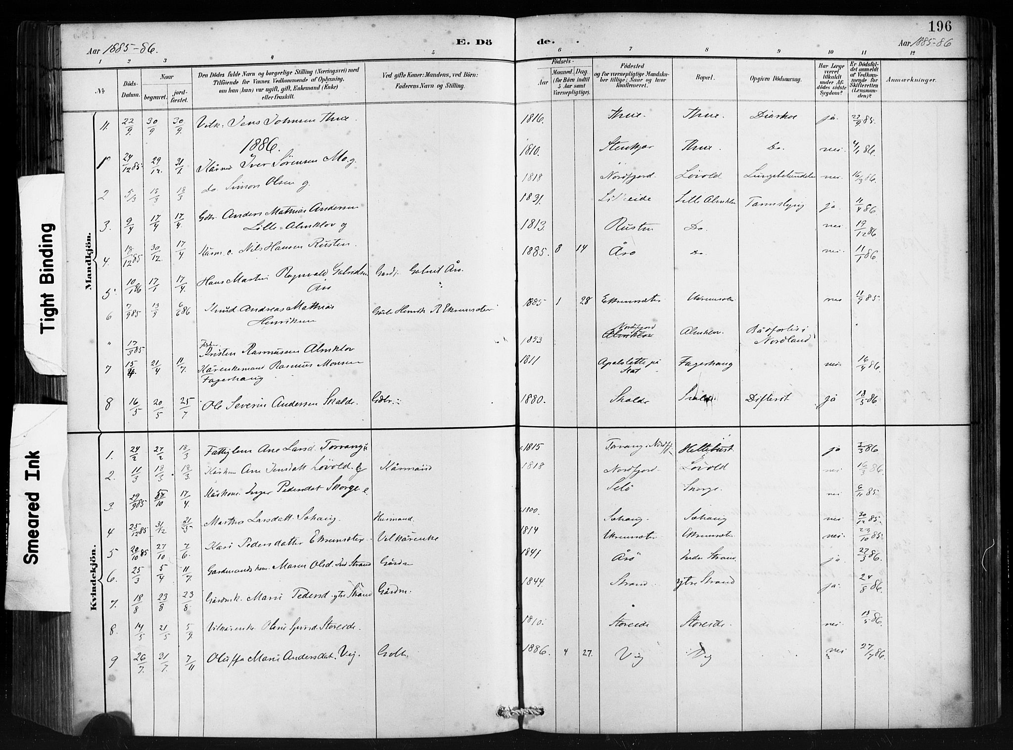 Ministerialprotokoller, klokkerbøker og fødselsregistre - Møre og Romsdal, AV/SAT-A-1454/501/L0008: Parish register (official) no. 501A08, 1885-1901, p. 196