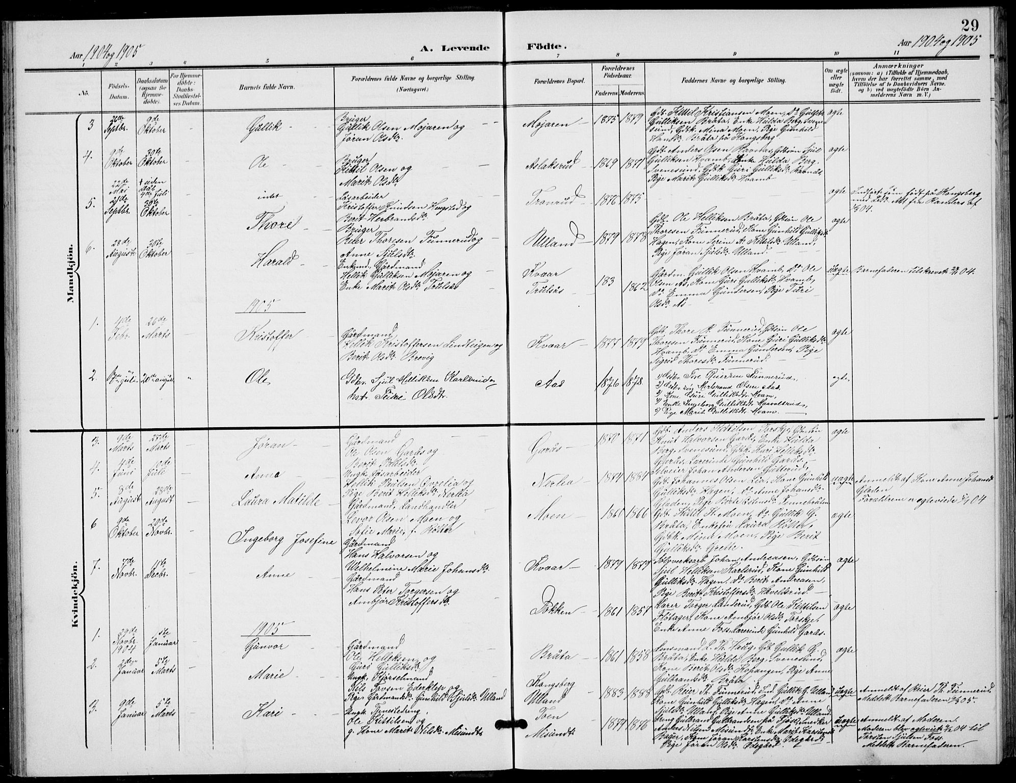 Flesberg kirkebøker, AV/SAKO-A-18/G/Ga/L0005: Parish register (copy) no. I 5, 1899-1908, p. 29