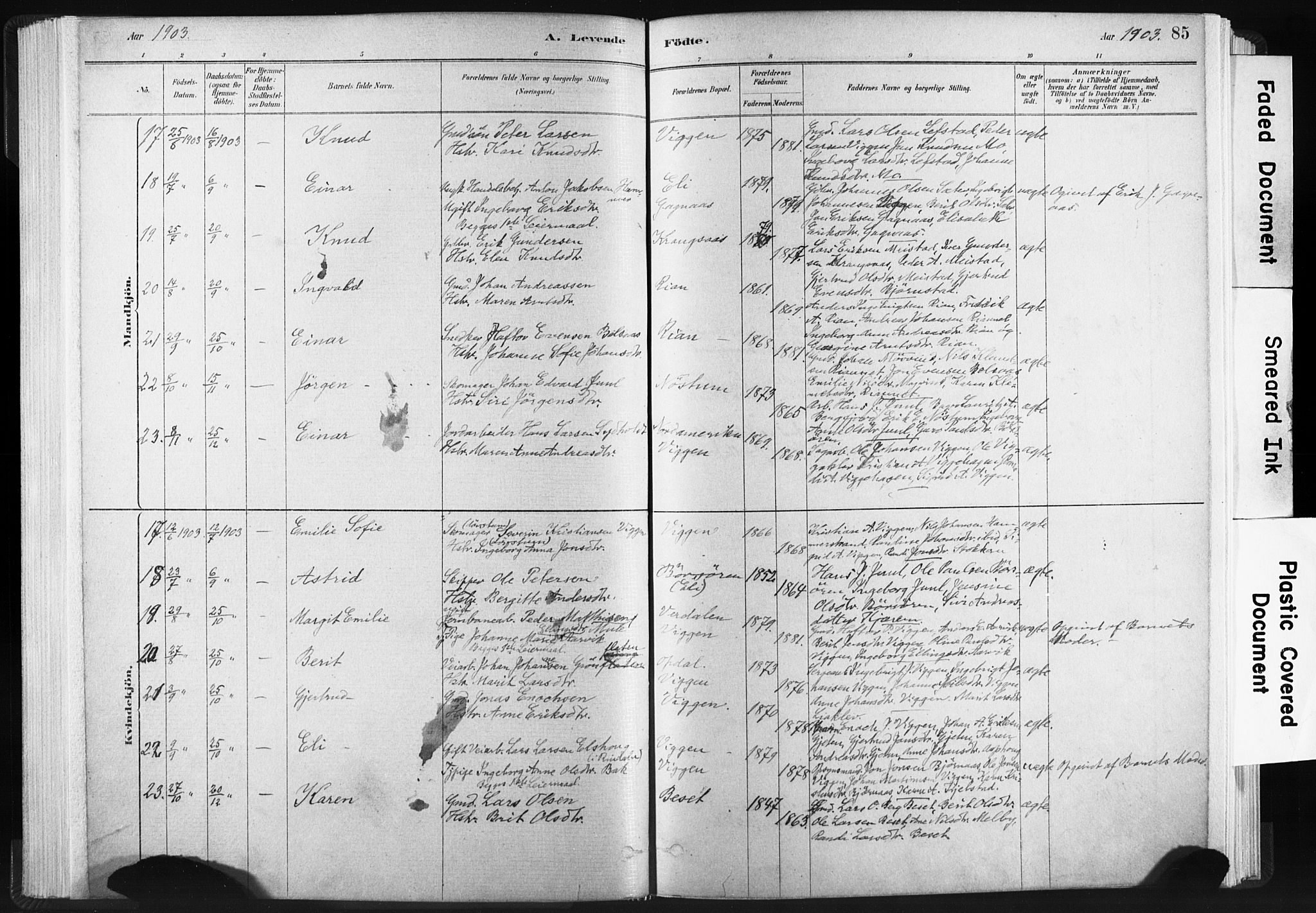 Ministerialprotokoller, klokkerbøker og fødselsregistre - Sør-Trøndelag, AV/SAT-A-1456/665/L0773: Parish register (official) no. 665A08, 1879-1905, p. 85