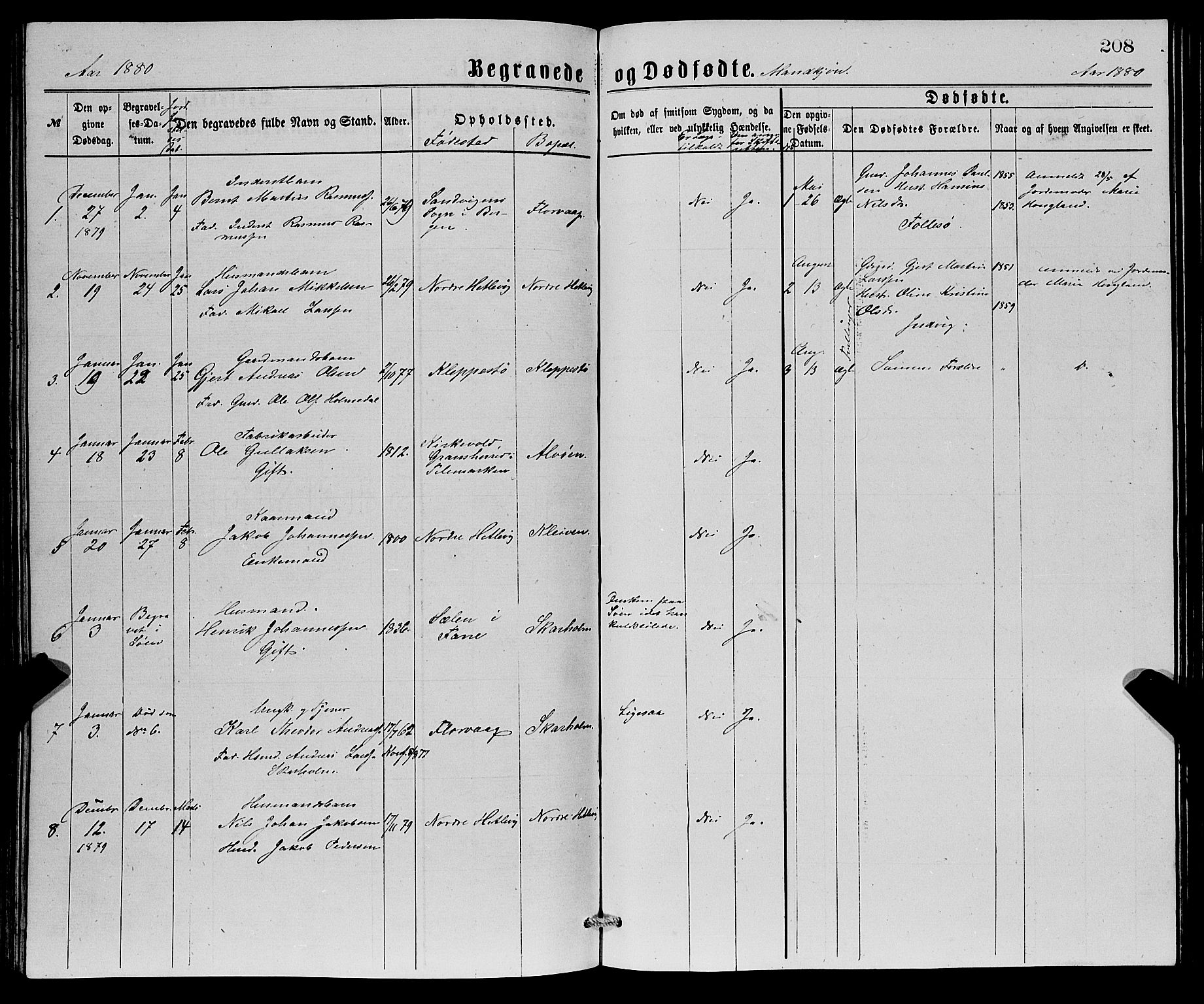 Askøy Sokneprestembete, SAB/A-74101/H/Ha/Hab/Haba/L0007: Parish register (copy) no. A 7, 1871-1881, p. 208