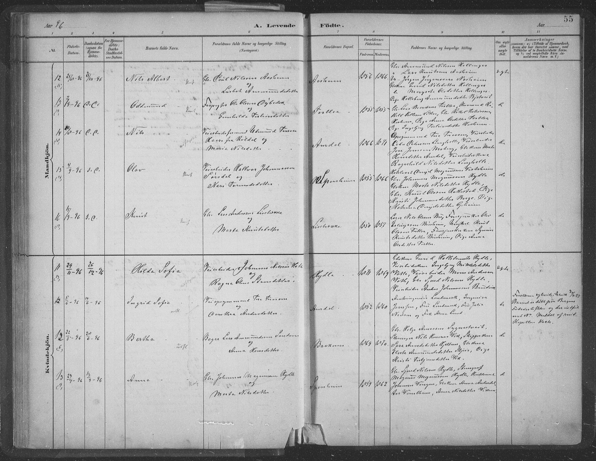 Ulvik sokneprestembete, AV/SAB-A-78801/H/Hab: Parish register (copy) no. A 3, 1883-1908, p. 55