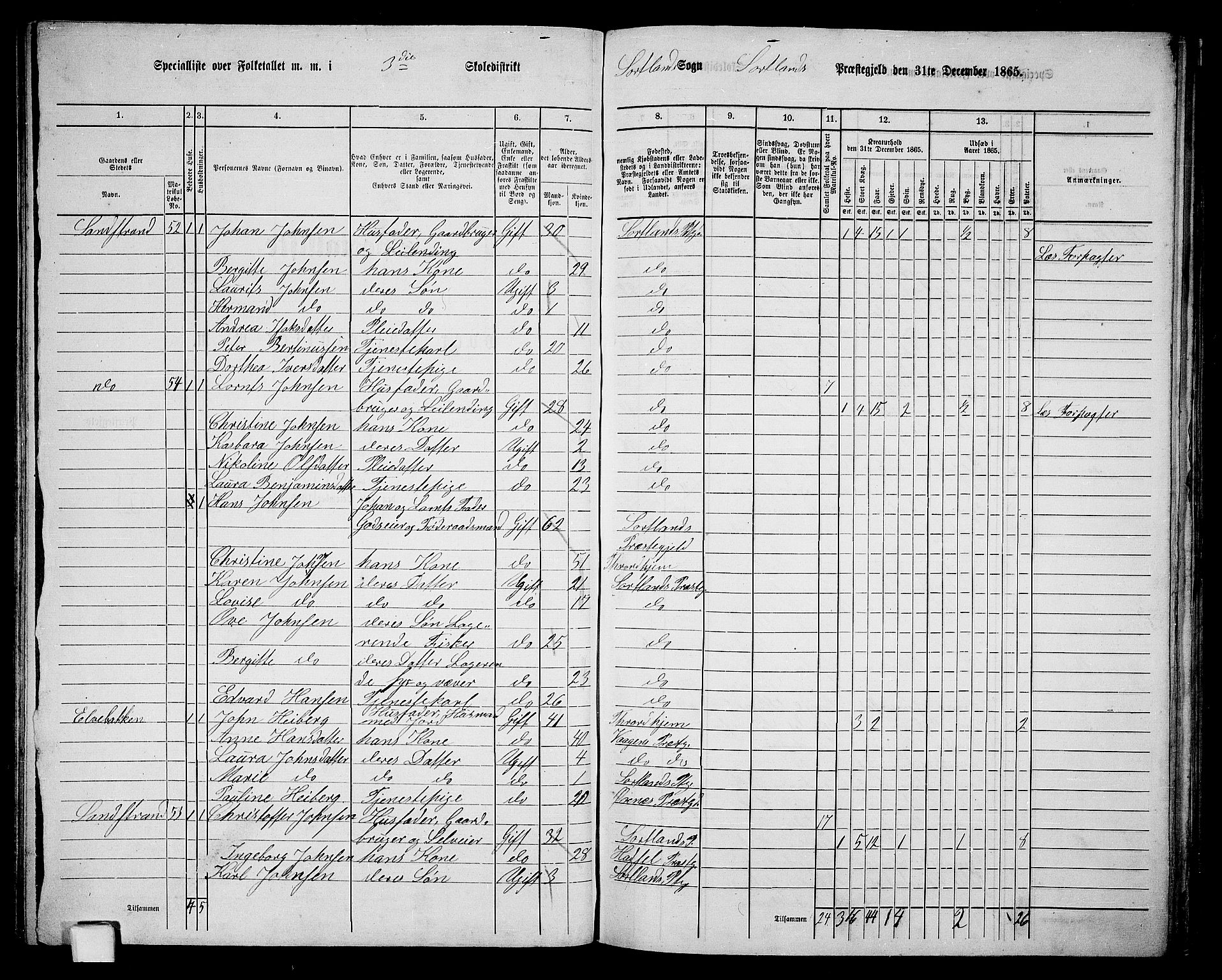 RA, 1865 census for Sortland, 1865, p. 53