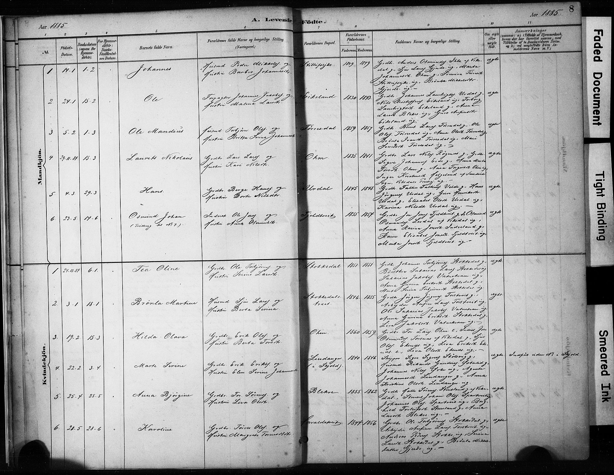 Skjold sokneprestkontor, AV/SAST-A-101847/H/Ha/Haa/L0009: Parish register (official) no. A 9, 1882-1898, p. 8