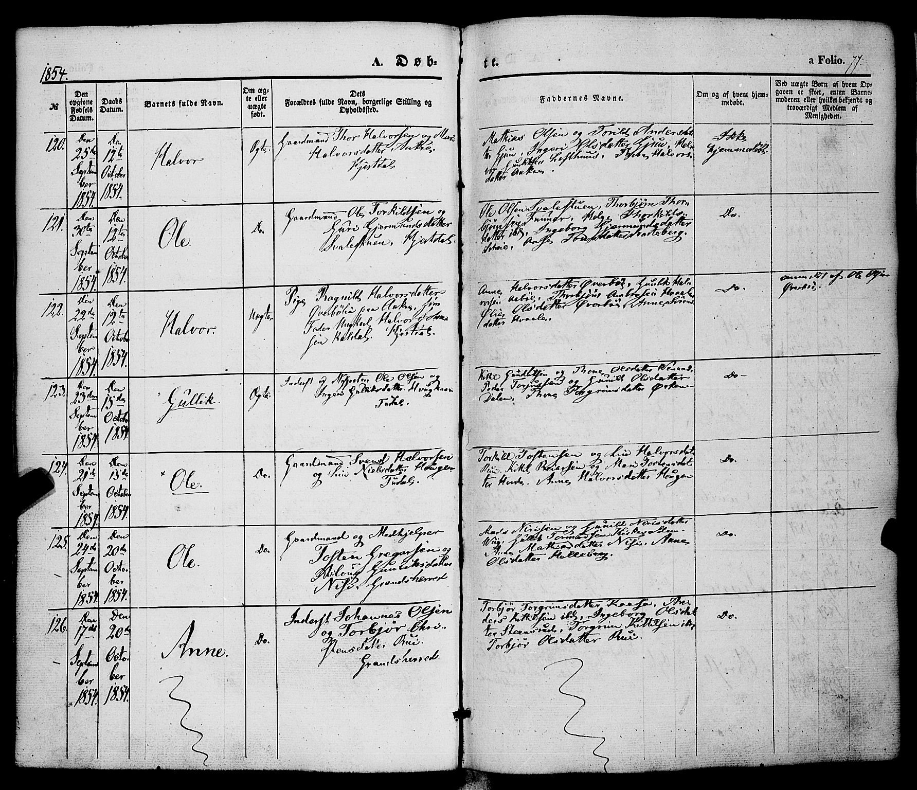 Hjartdal kirkebøker, AV/SAKO-A-270/F/Fa/L0008: Parish register (official) no. I 8, 1844-1859, p. 77