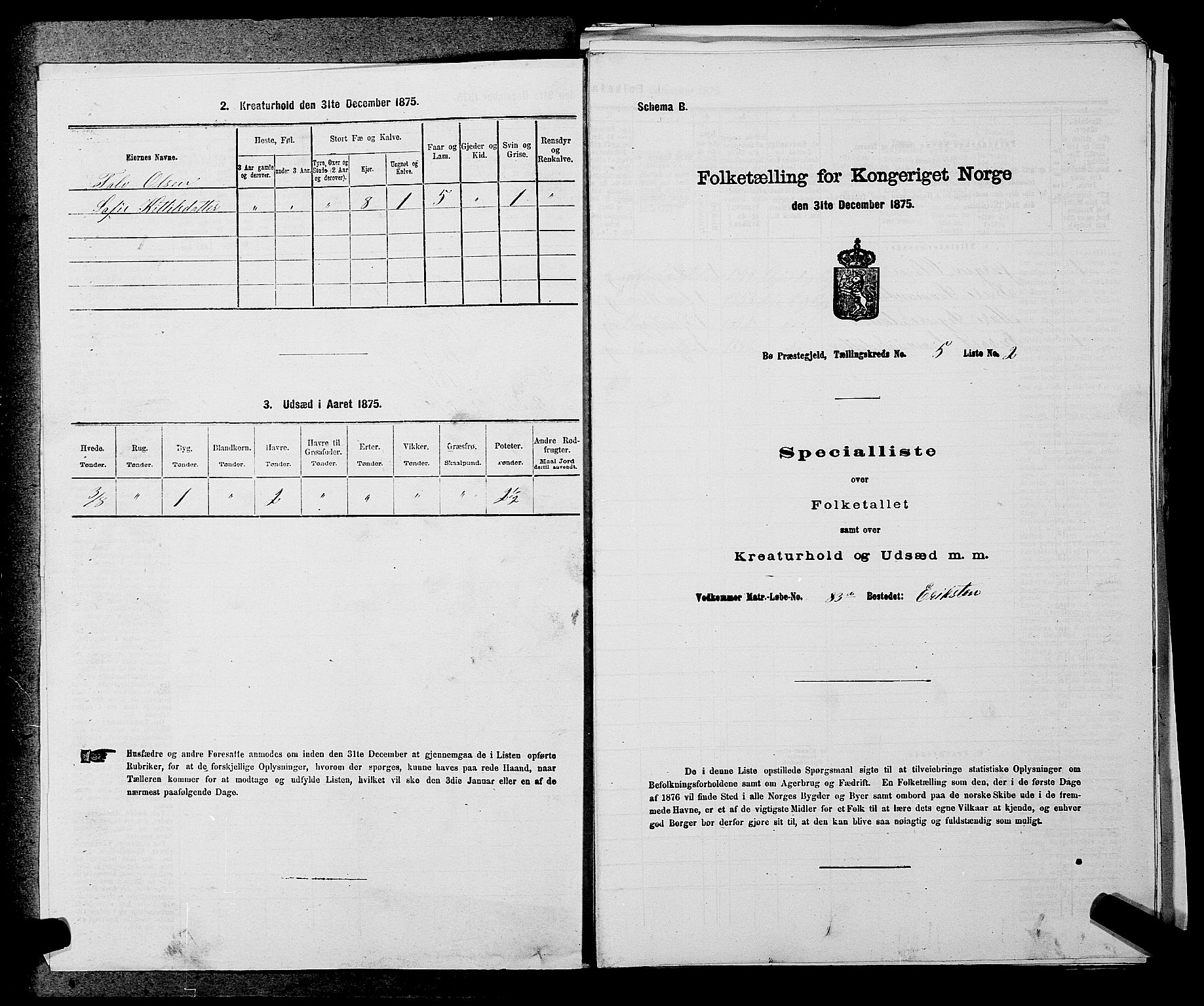 SAKO, 1875 census for 0821P Bø, 1875, p. 600