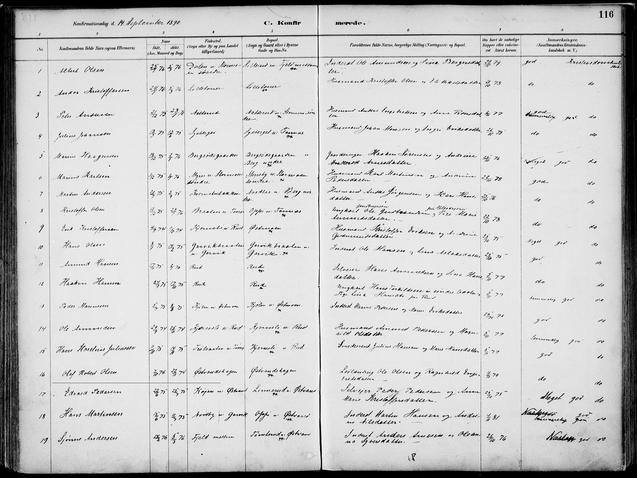 Nord-Odal prestekontor, AV/SAH-PREST-032/H/Ha/Haa/L0008: Parish register (official) no. 8, 1886-1901, p. 116