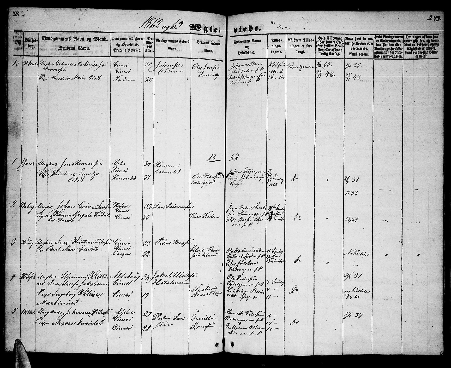 Ministerialprotokoller, klokkerbøker og fødselsregistre - Nordland, AV/SAT-A-1459/876/L1102: Parish register (copy) no. 876C01, 1852-1886, p. 243