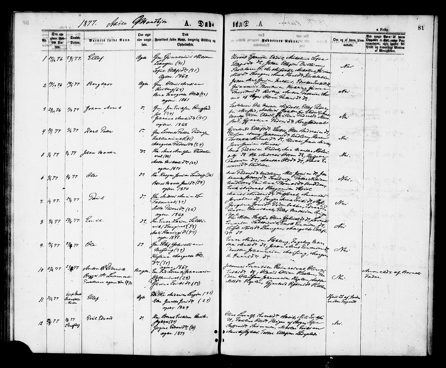 Ministerialprotokoller, klokkerbøker og fødselsregistre - Nord-Trøndelag, SAT/A-1458/713/L0118: Parish register (official) no. 713A08 /2, 1875-1877, p. 81