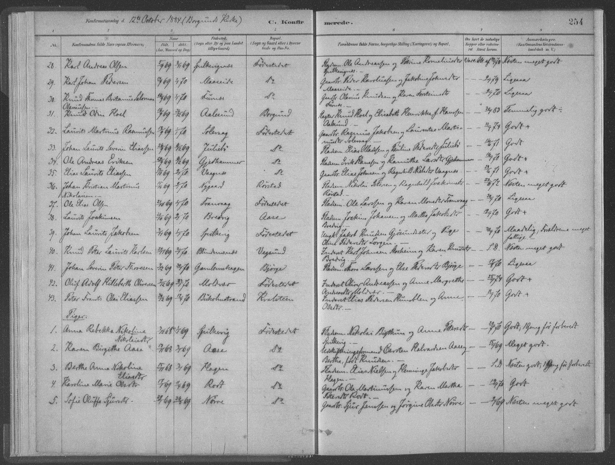 Ministerialprotokoller, klokkerbøker og fødselsregistre - Møre og Romsdal, AV/SAT-A-1454/528/L0402: Parish register (official) no. 528A12II, 1880-1903, p. 254