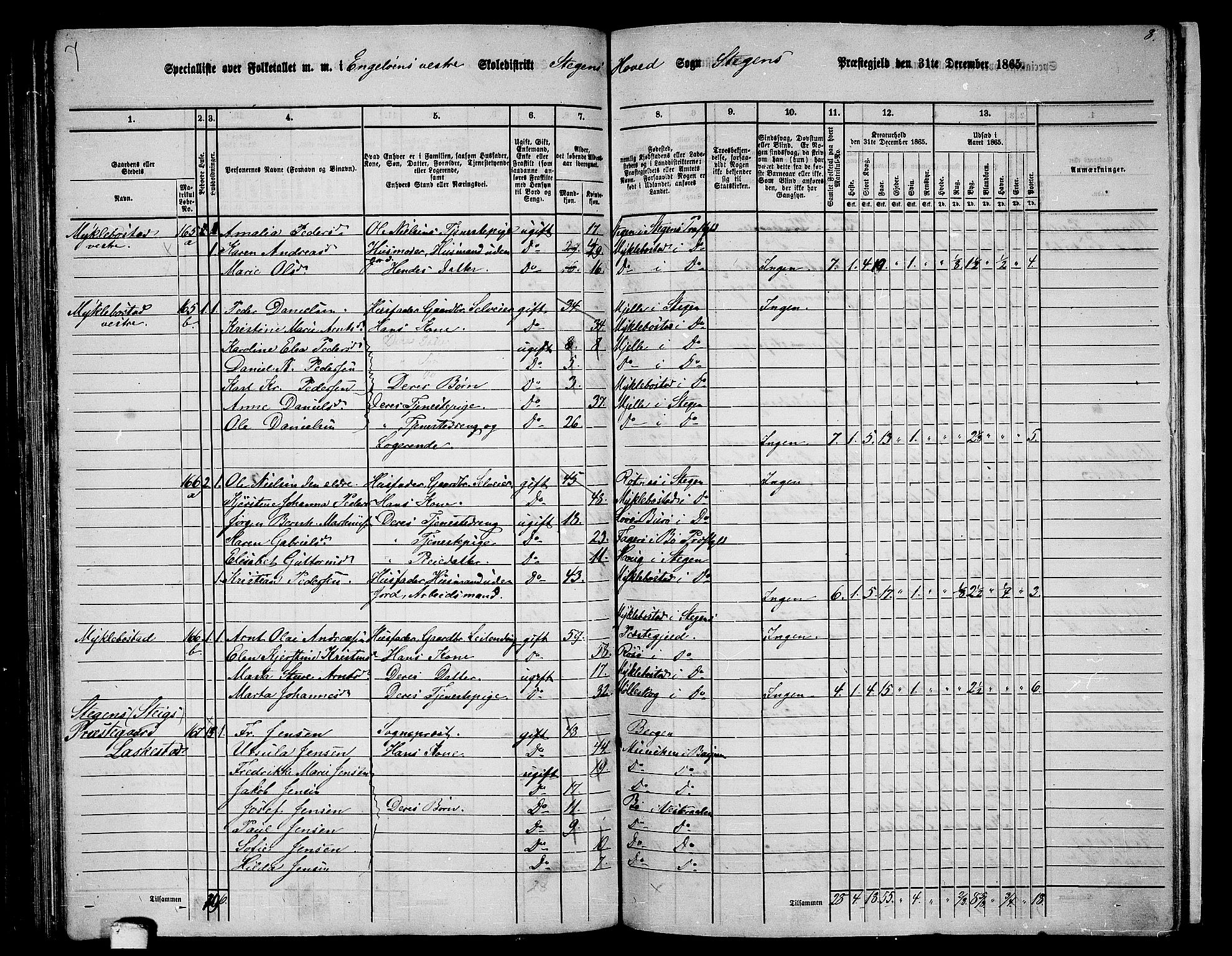 RA, 1865 census for Steigen, 1865, p. 95