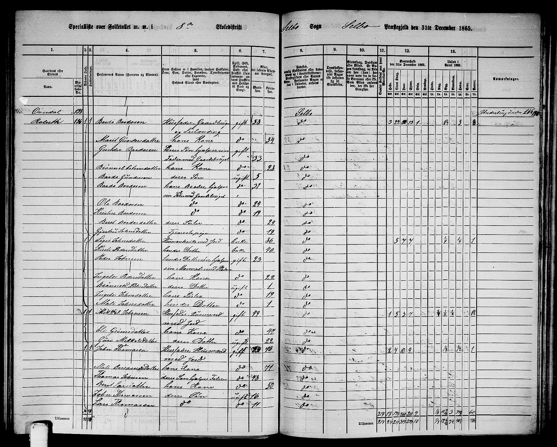 RA, 1865 census for Selbu, 1865, p. 142