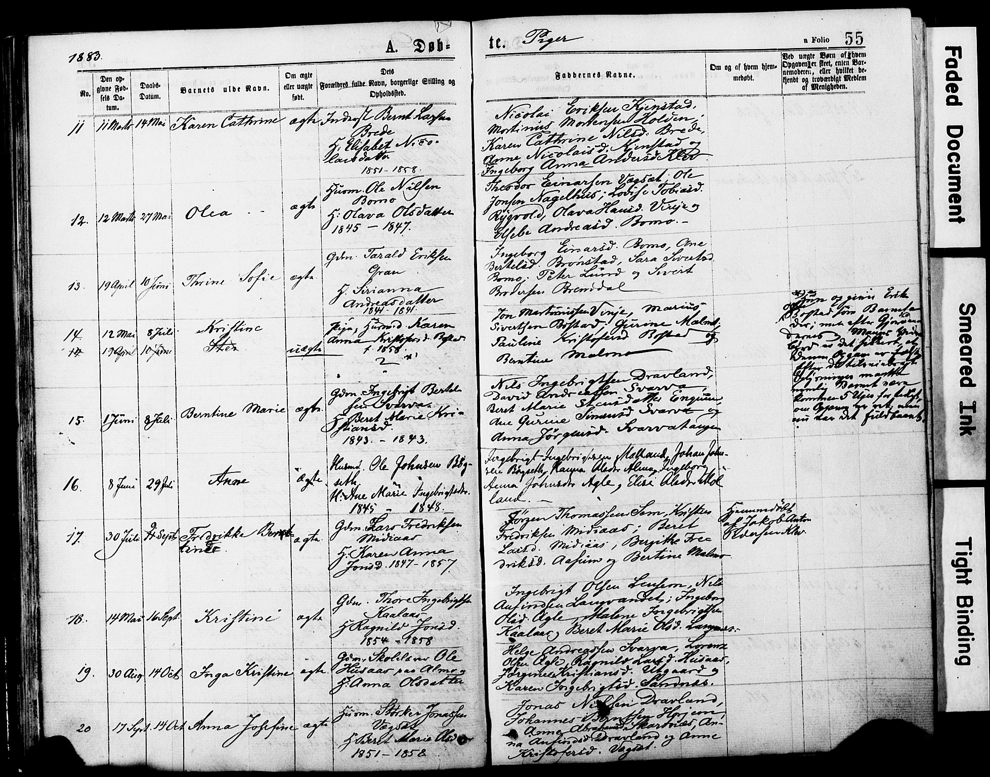 Ministerialprotokoller, klokkerbøker og fødselsregistre - Nord-Trøndelag, AV/SAT-A-1458/749/L0473: Parish register (official) no. 749A07, 1873-1887, p. 55