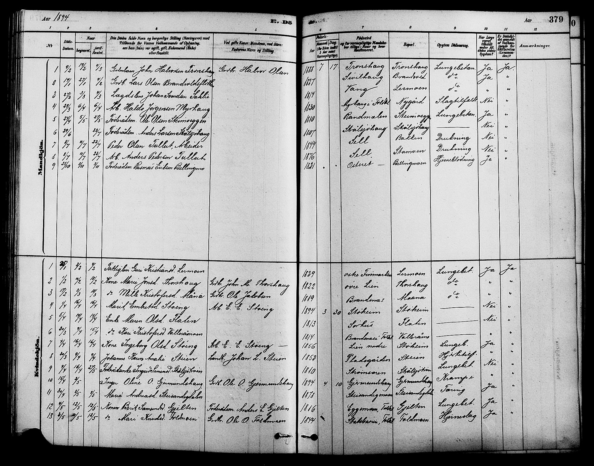 Alvdal prestekontor, SAH/PREST-060/H/Ha/Hab/L0003: Parish register (copy) no. 3, 1878-1907, p. 379