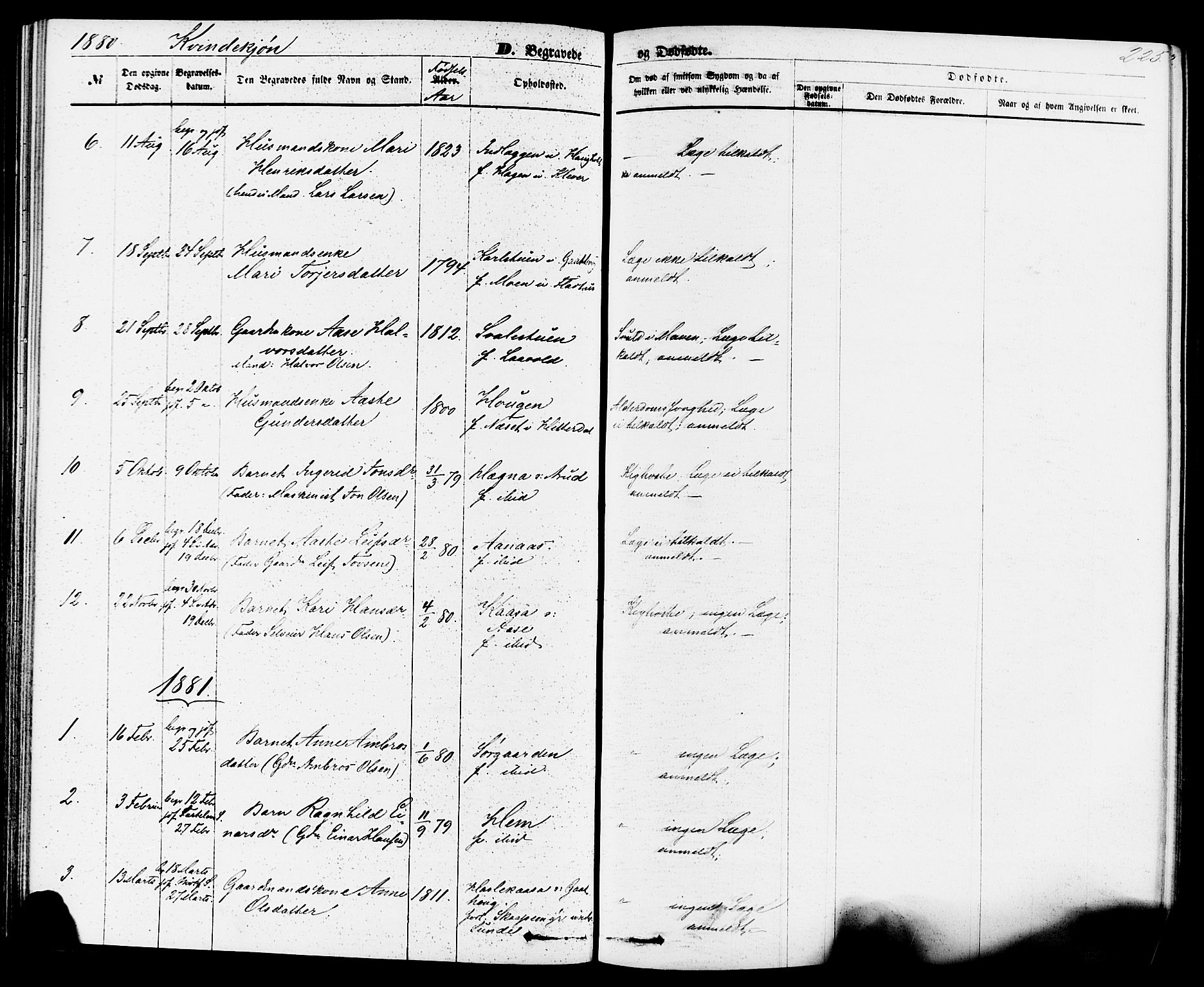Sauherad kirkebøker, SAKO/A-298/F/Fa/L0008: Parish register (official) no. I 8, 1873-1886, p. 225
