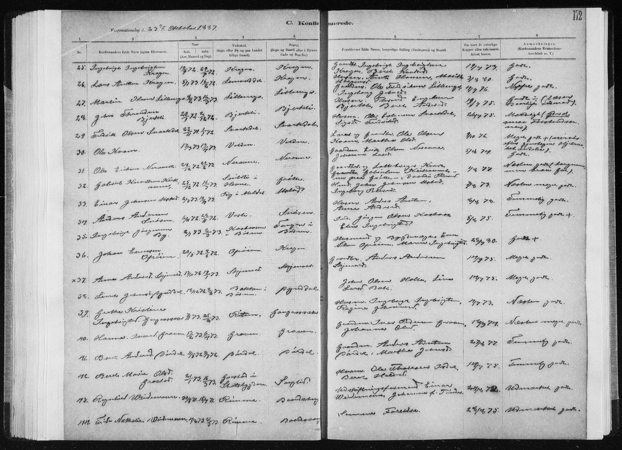 Ministerialprotokoller, klokkerbøker og fødselsregistre - Sør-Trøndelag, SAT/A-1456/668/L0818: Parish register (copy) no. 668C07, 1885-1898, p. 172
